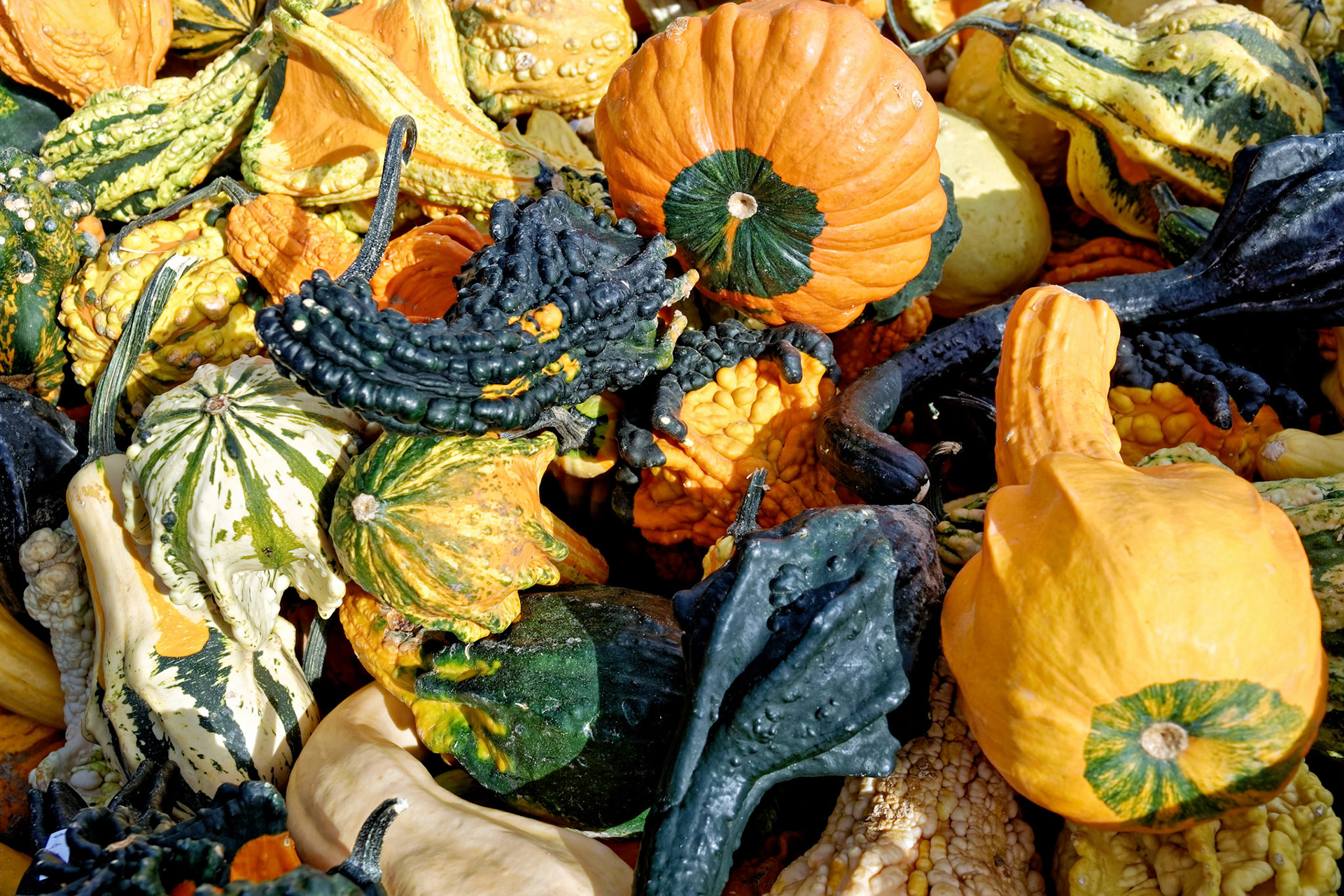 Holidays_20161011_0012_PS