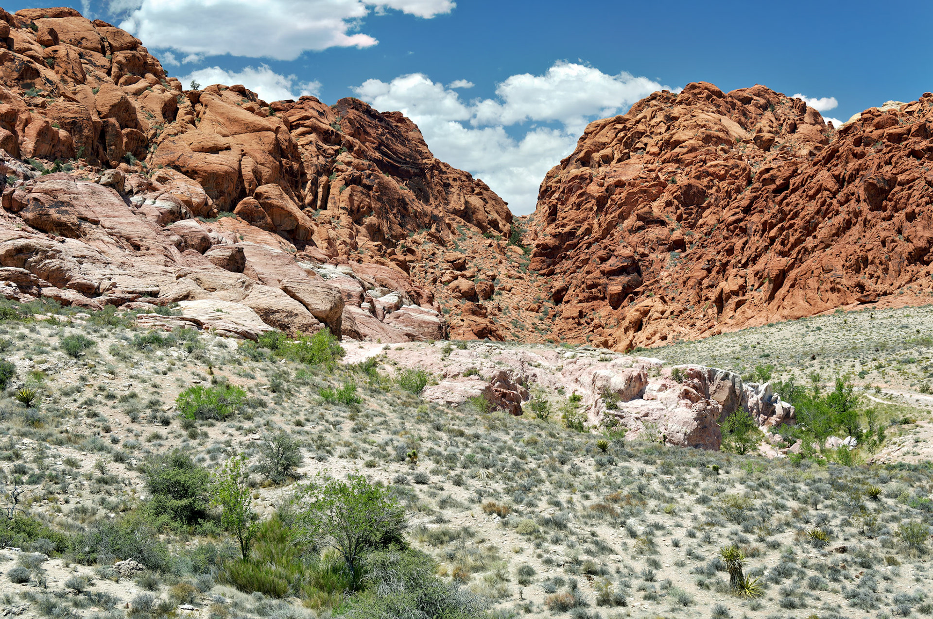 NV_20070531_0101_PS.tif