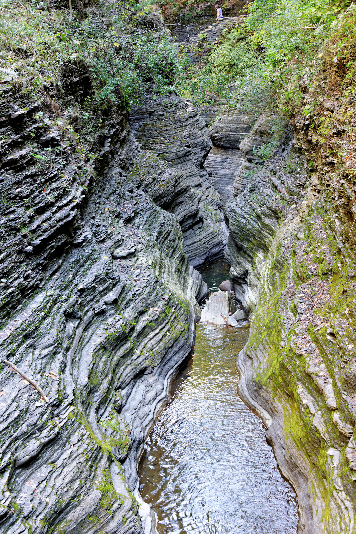 NY_FingerLakes_20120927_0093_PS.tif