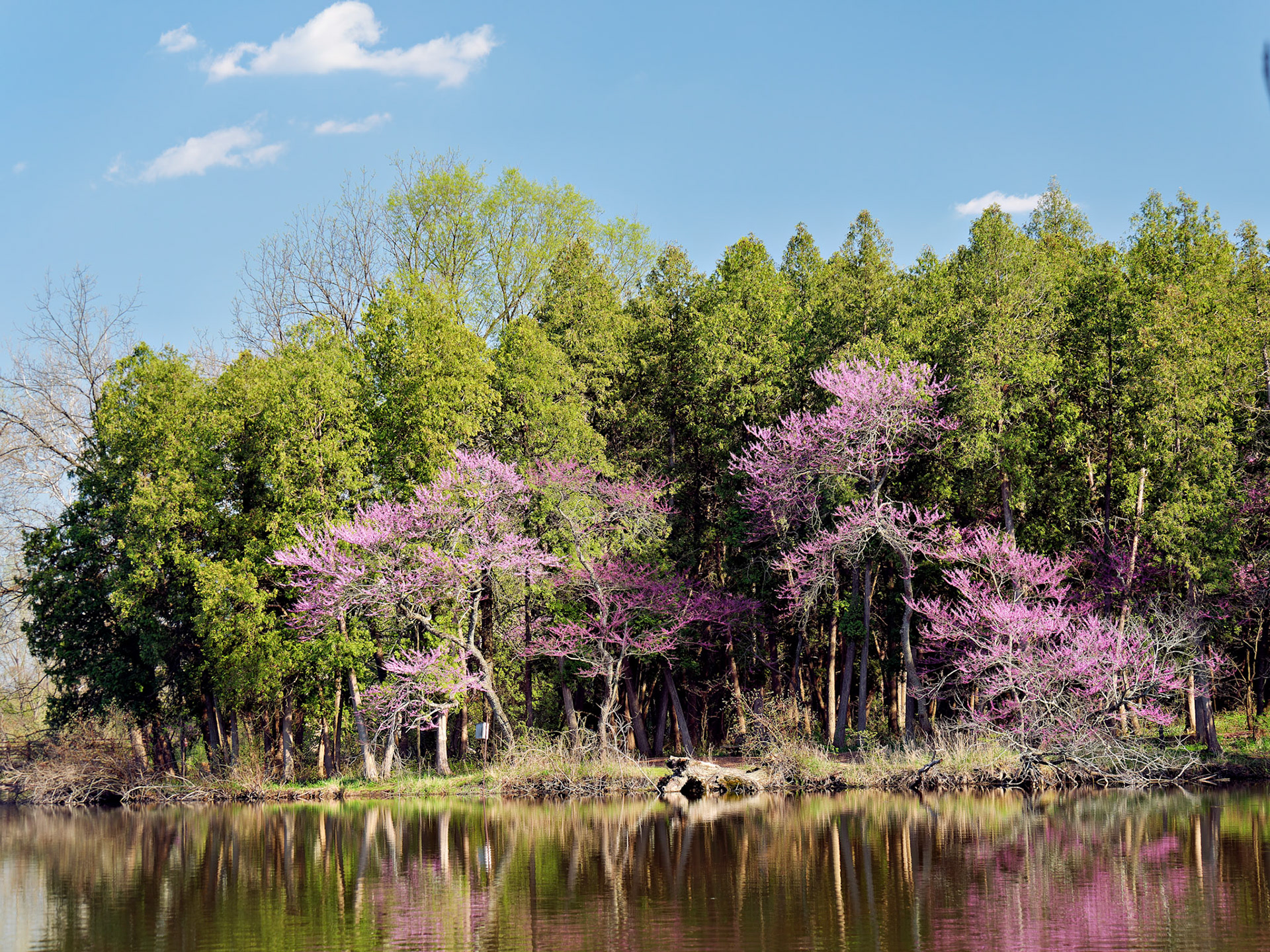 IL_Morton Arboretum_20180507_0803_PS