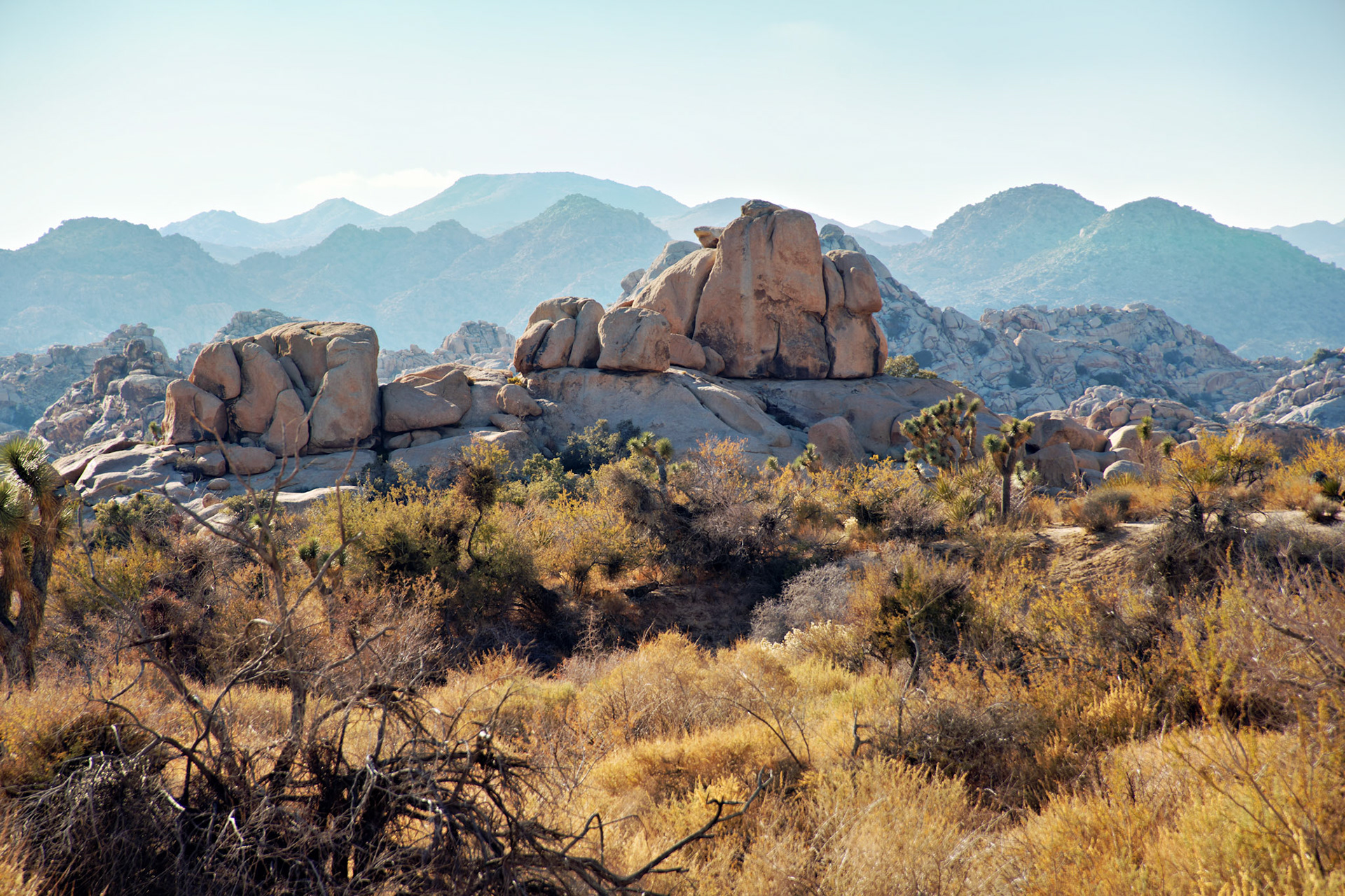 CA_JoshuaTree_20111114_0235_PS