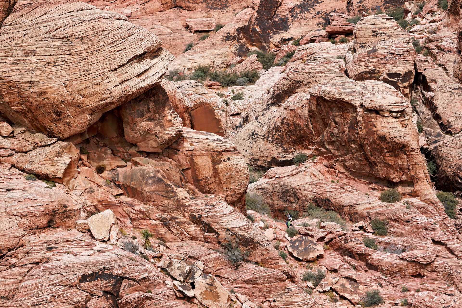 NV_Deserts_20120312_0049_PS.tif