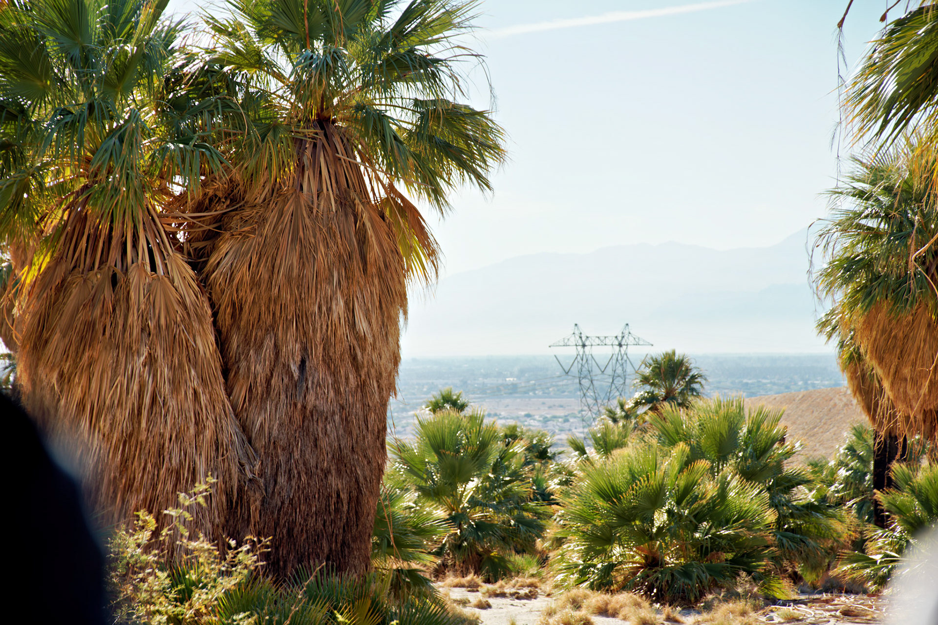 CA_PalmSprings_20111117_0470_PS
