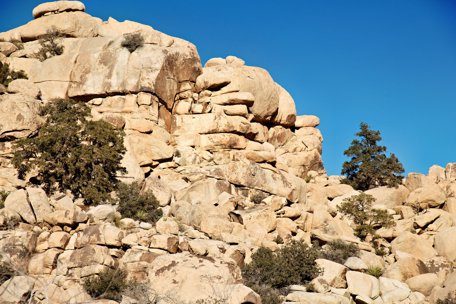 CA_PalmSprings_20090114_0190_PS