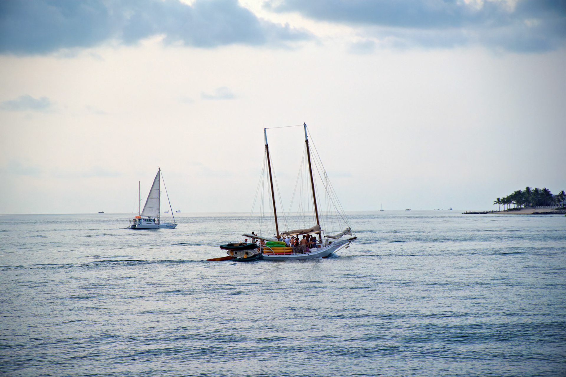 SONY DSC