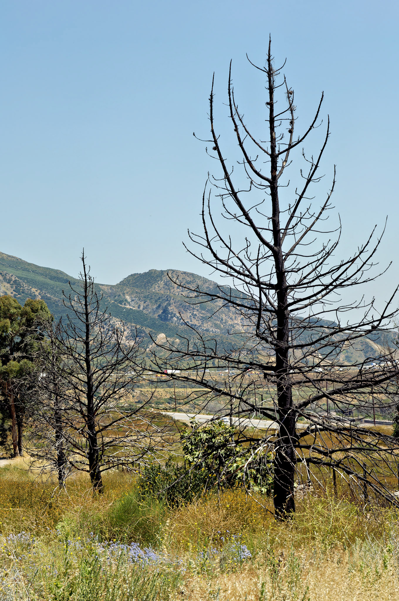 CA_20050613_0023_PS
