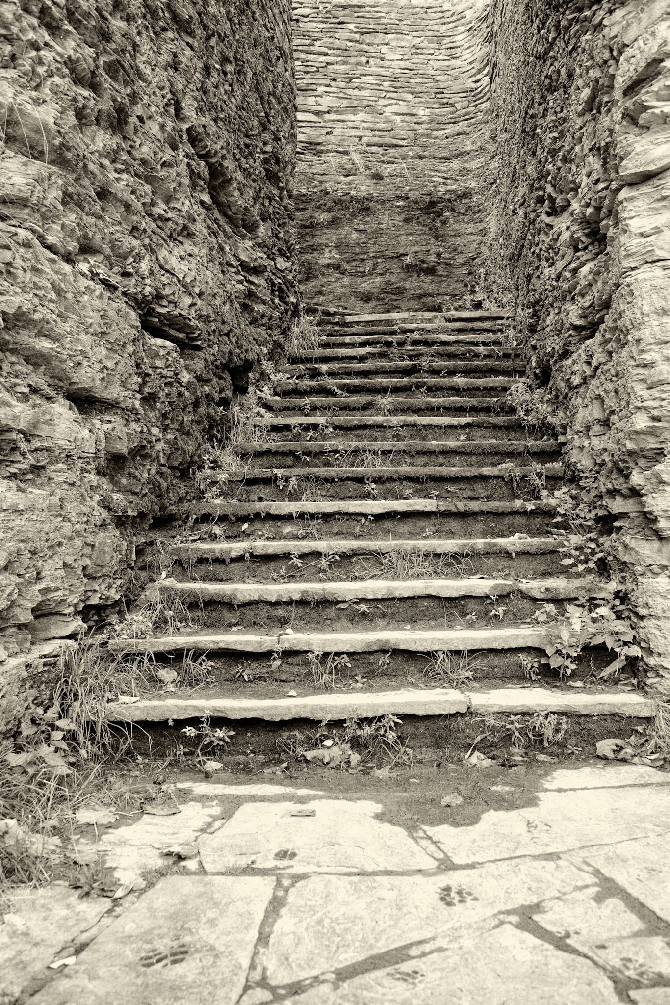 Black &amp; White 00224