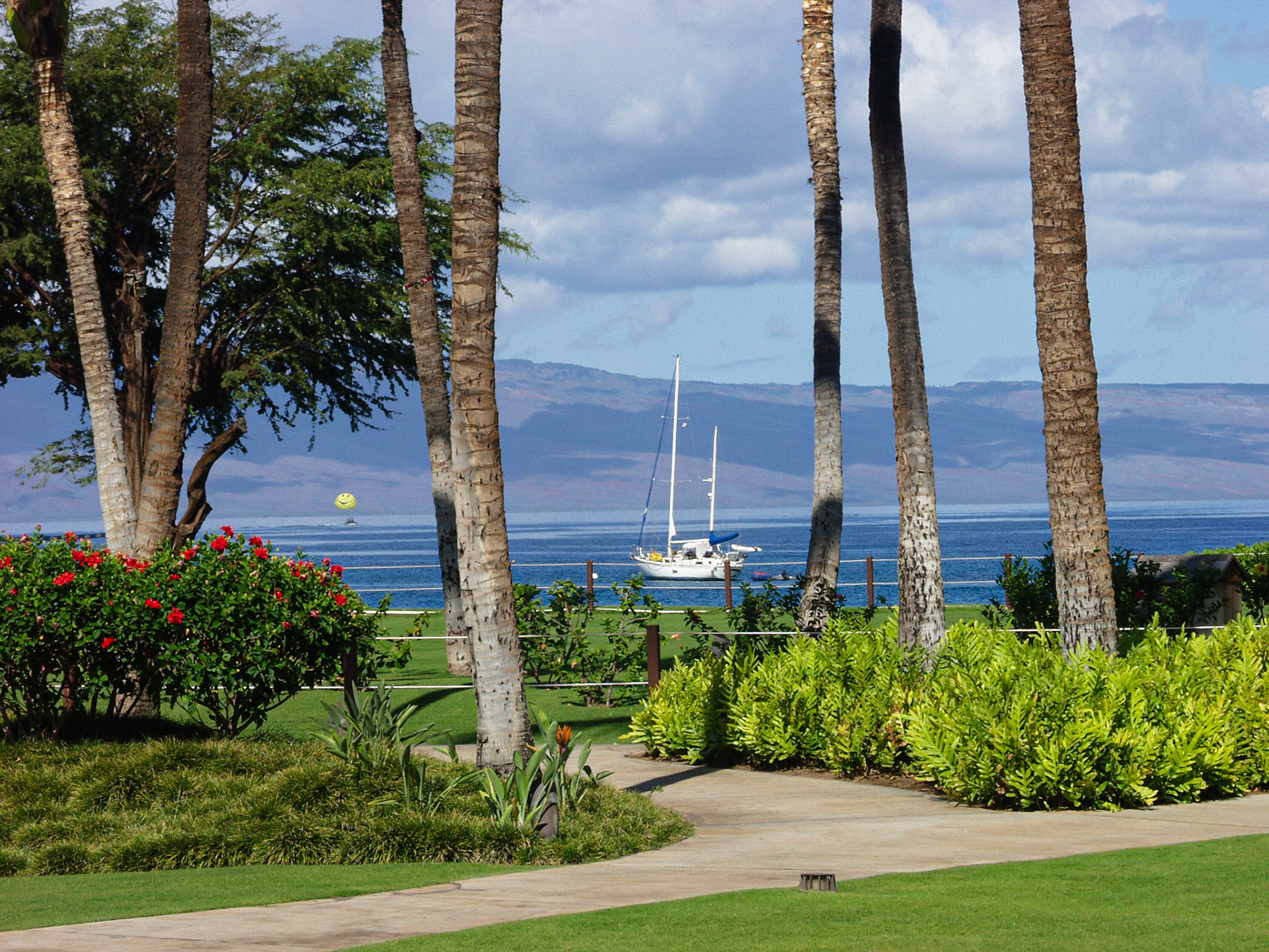 HI_Maui_FIBC060