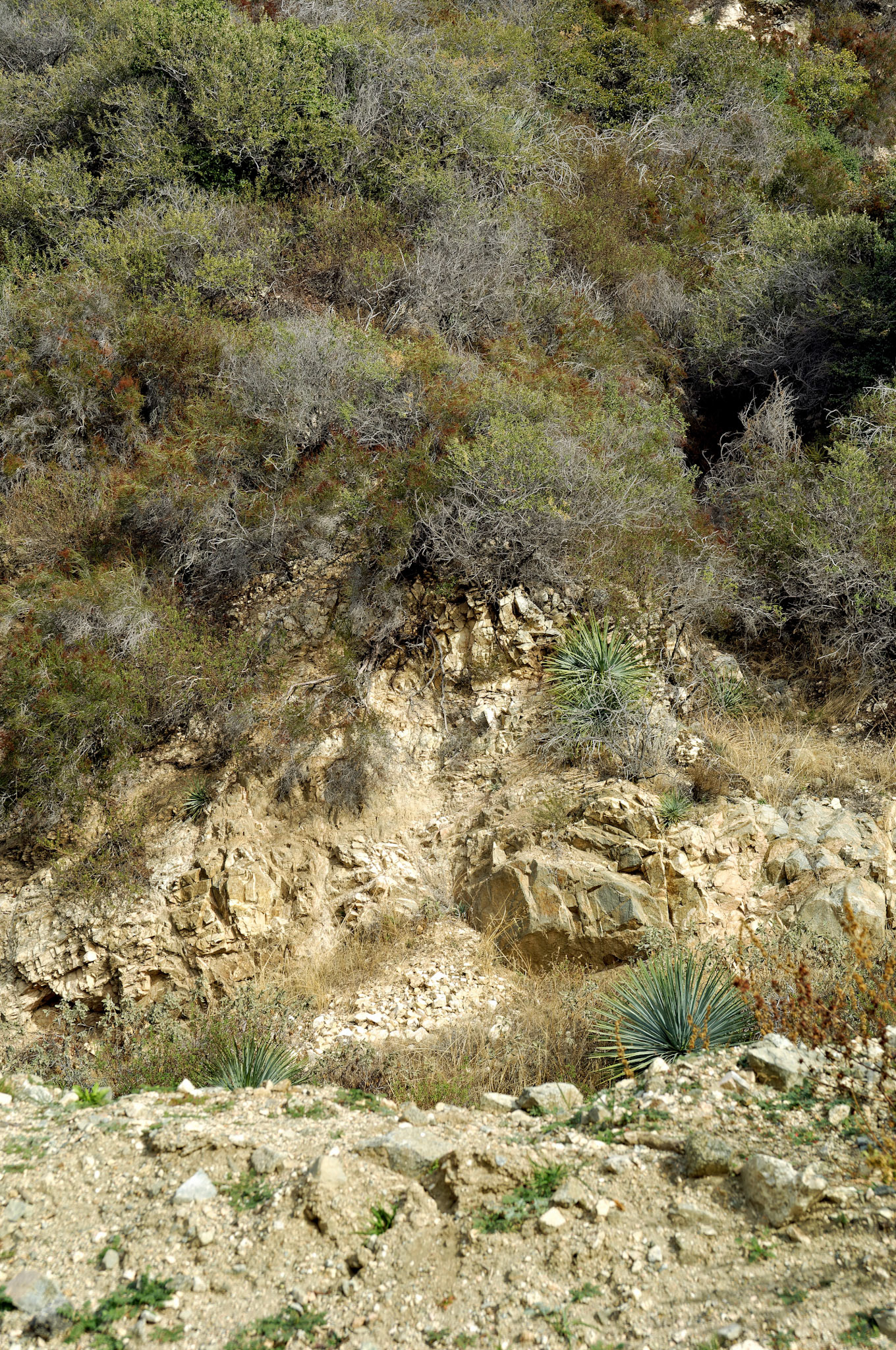 CA_LA_20051220_0231_PS