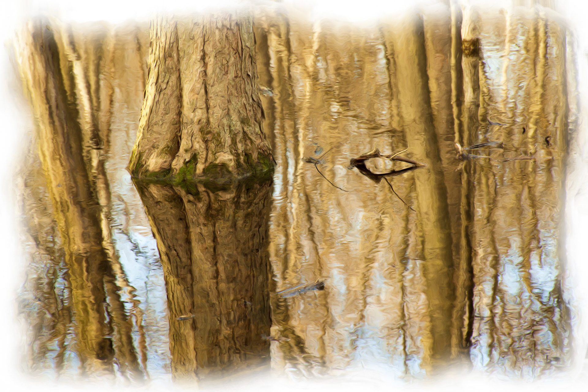 Painting__DSC2097_PaintingOil