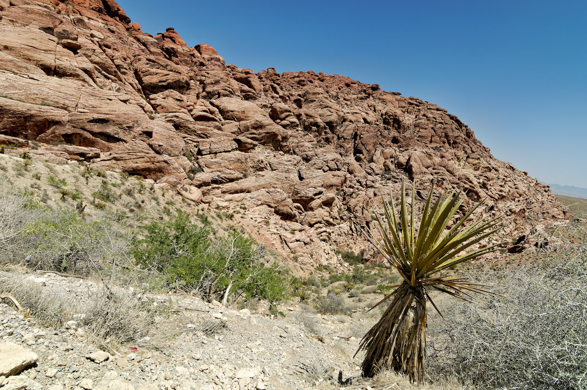 NV_20070531_0113_PS.tif