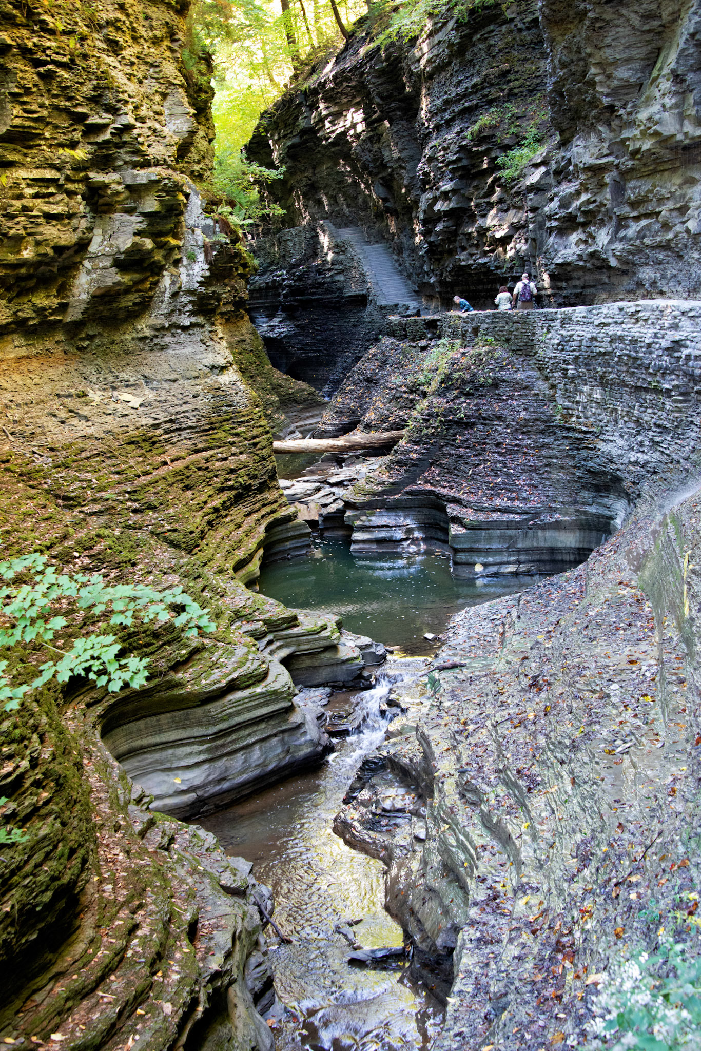 NY_FingerLakes_20120927_0199_PS