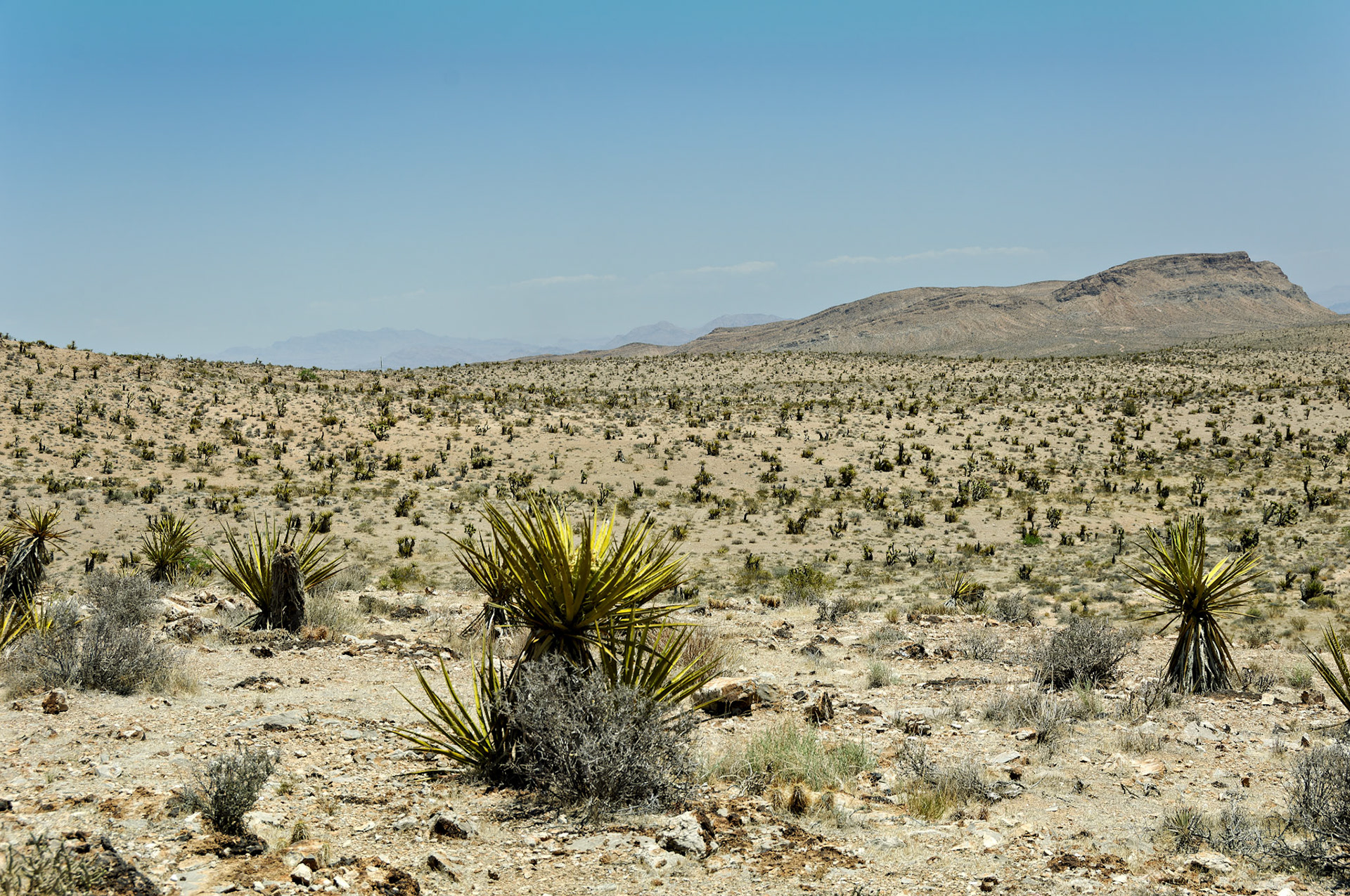 NV_20070531_0112_PS