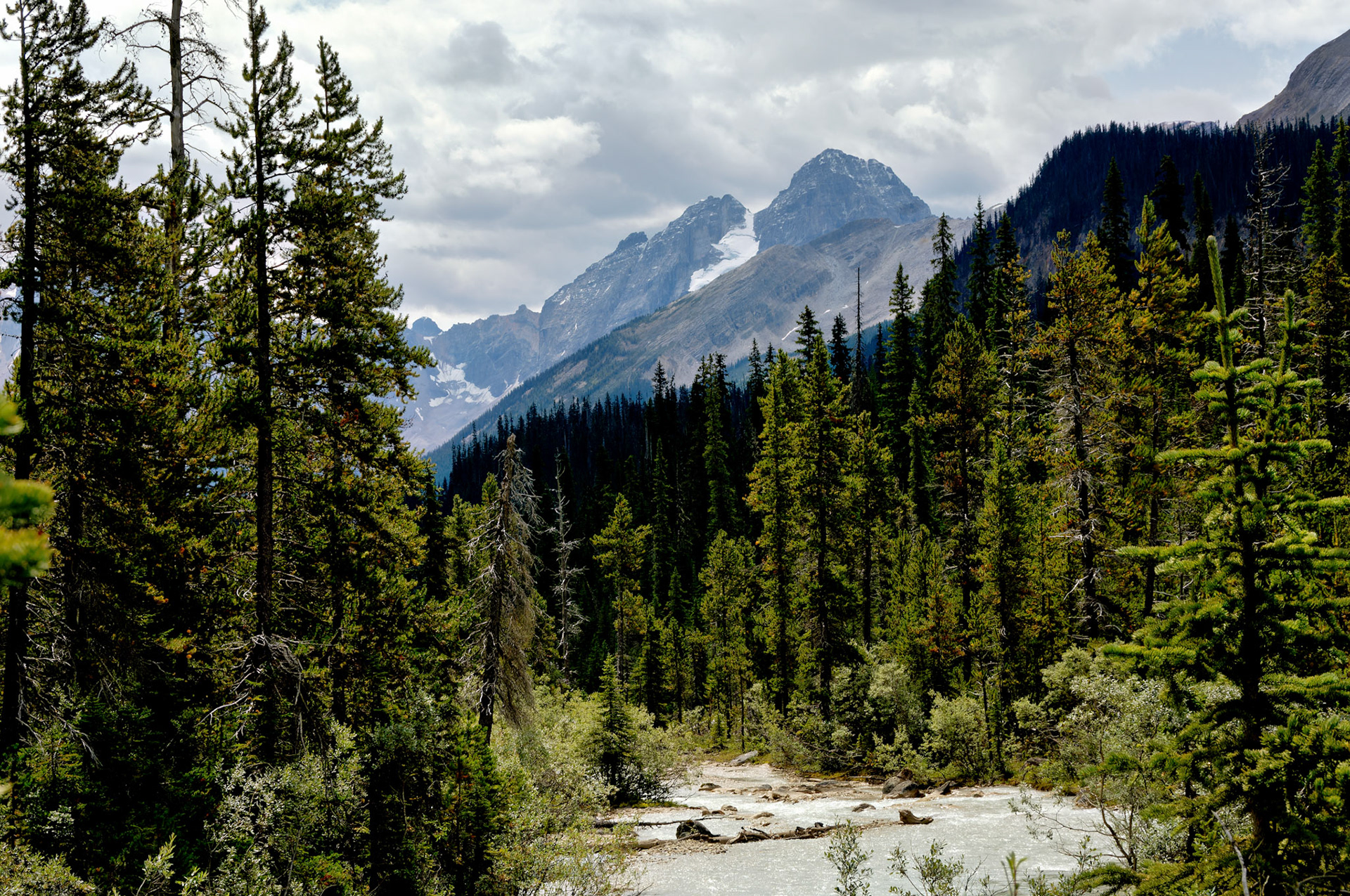 CN_20060803_0347_PS