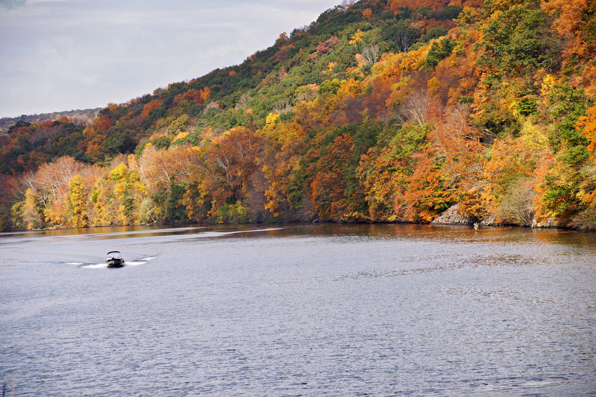CT_20141017_0457_PS