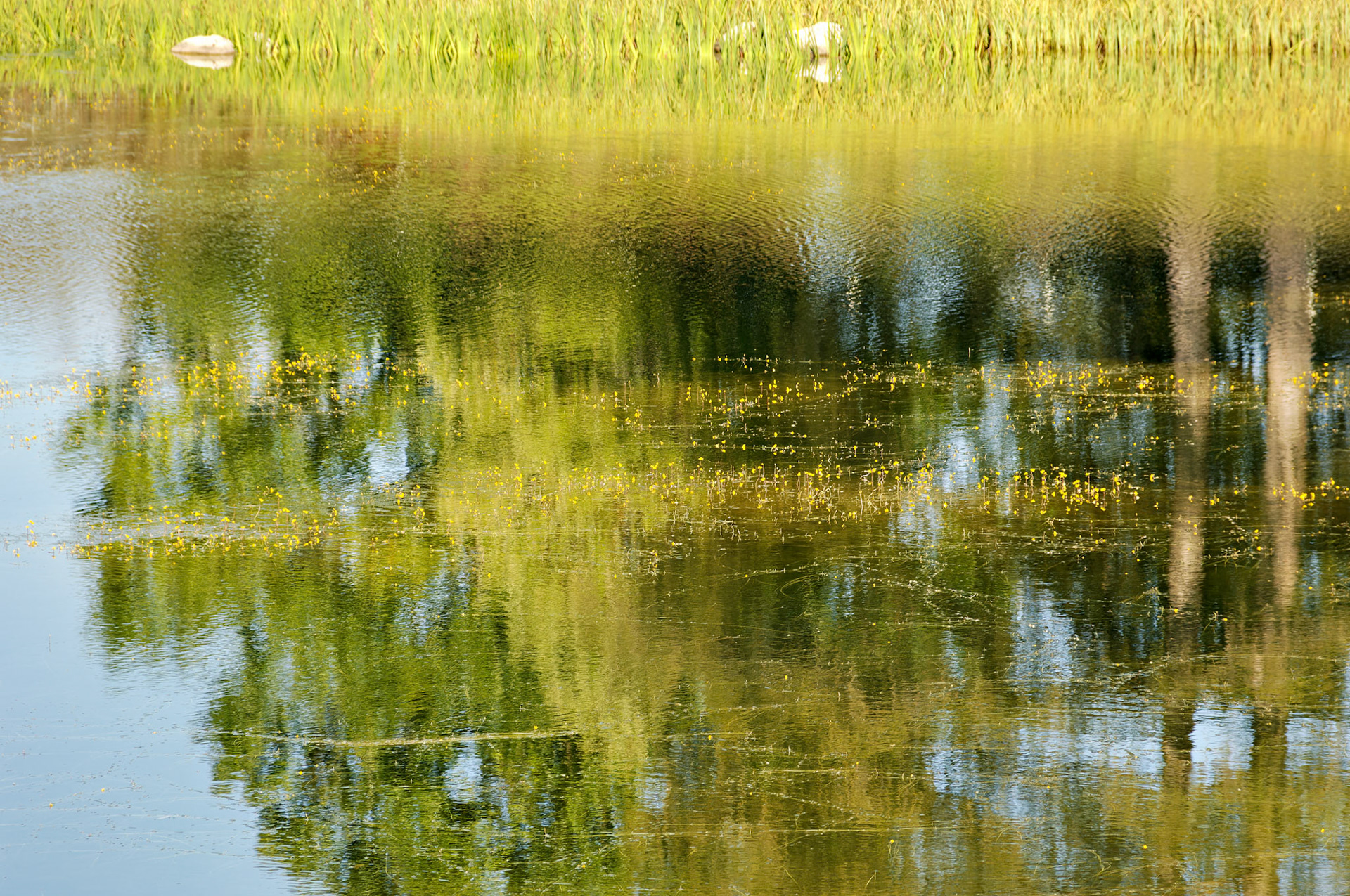IL_Morton Arboretum_20050920_0238_PS