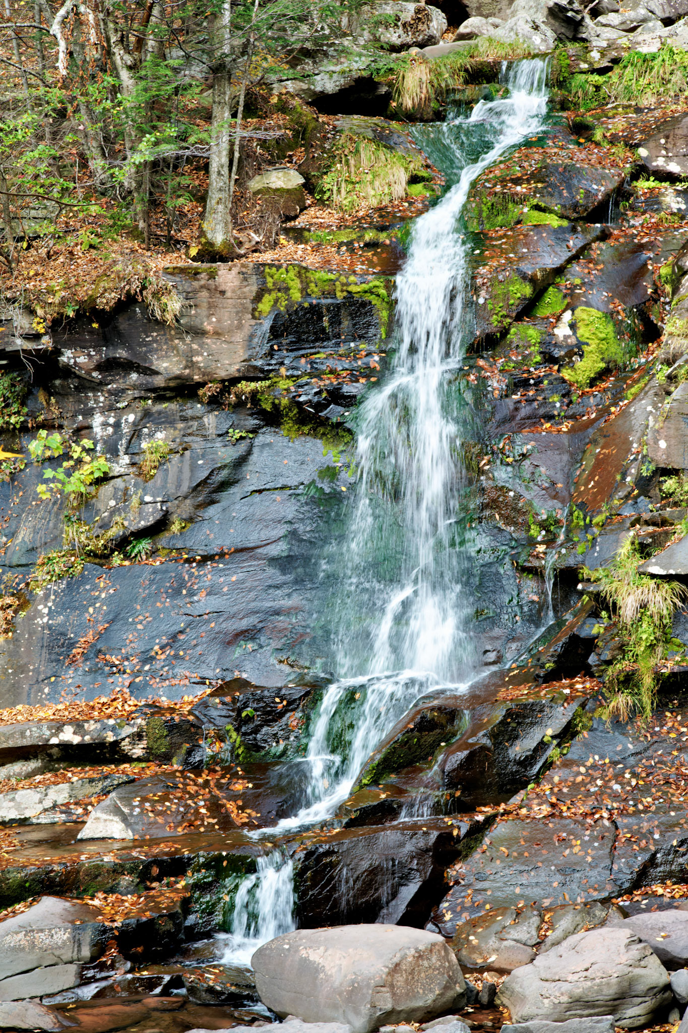 VT_20091023_0370_PS