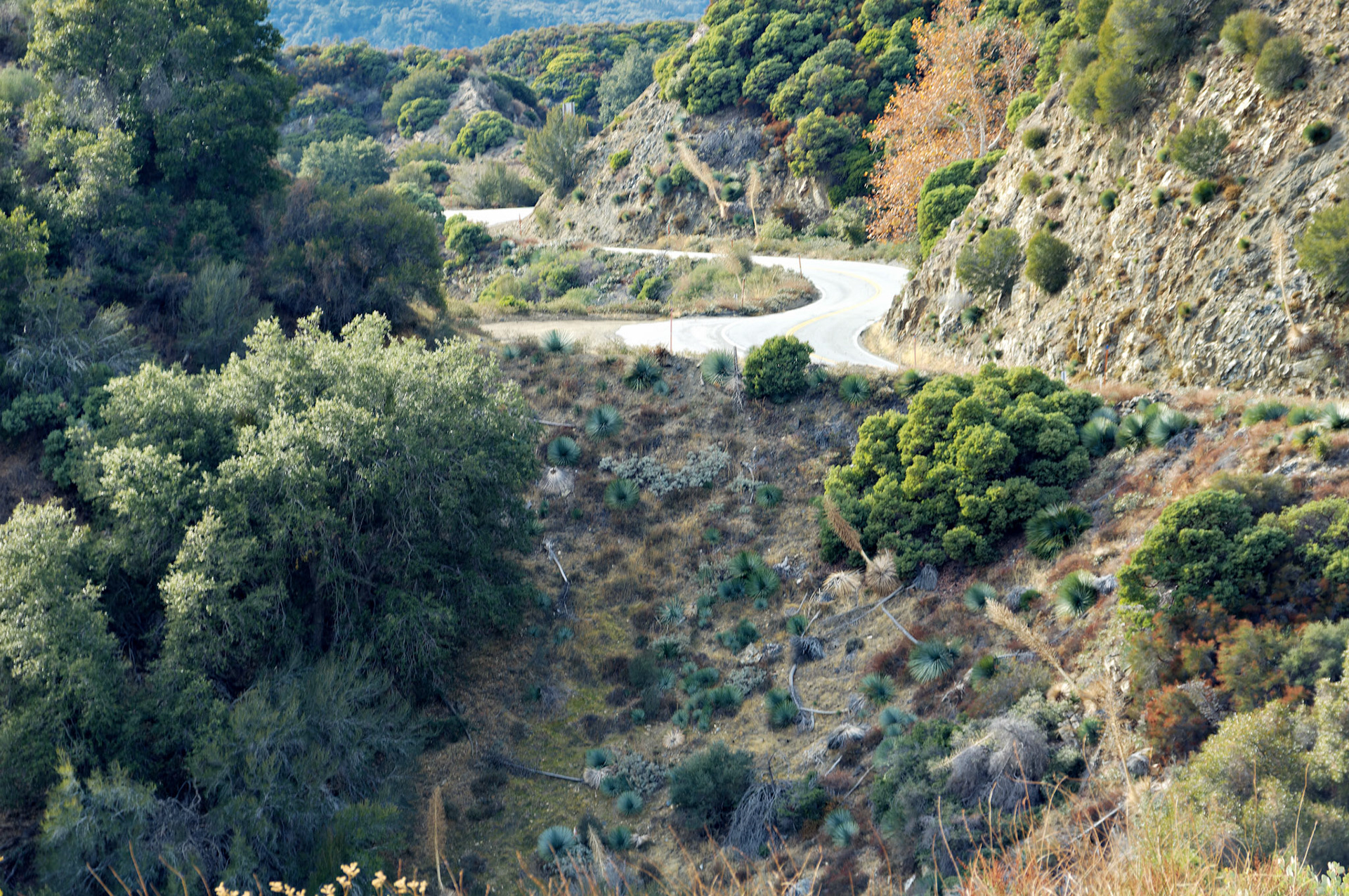 CA_LA_20051220_0287_PS