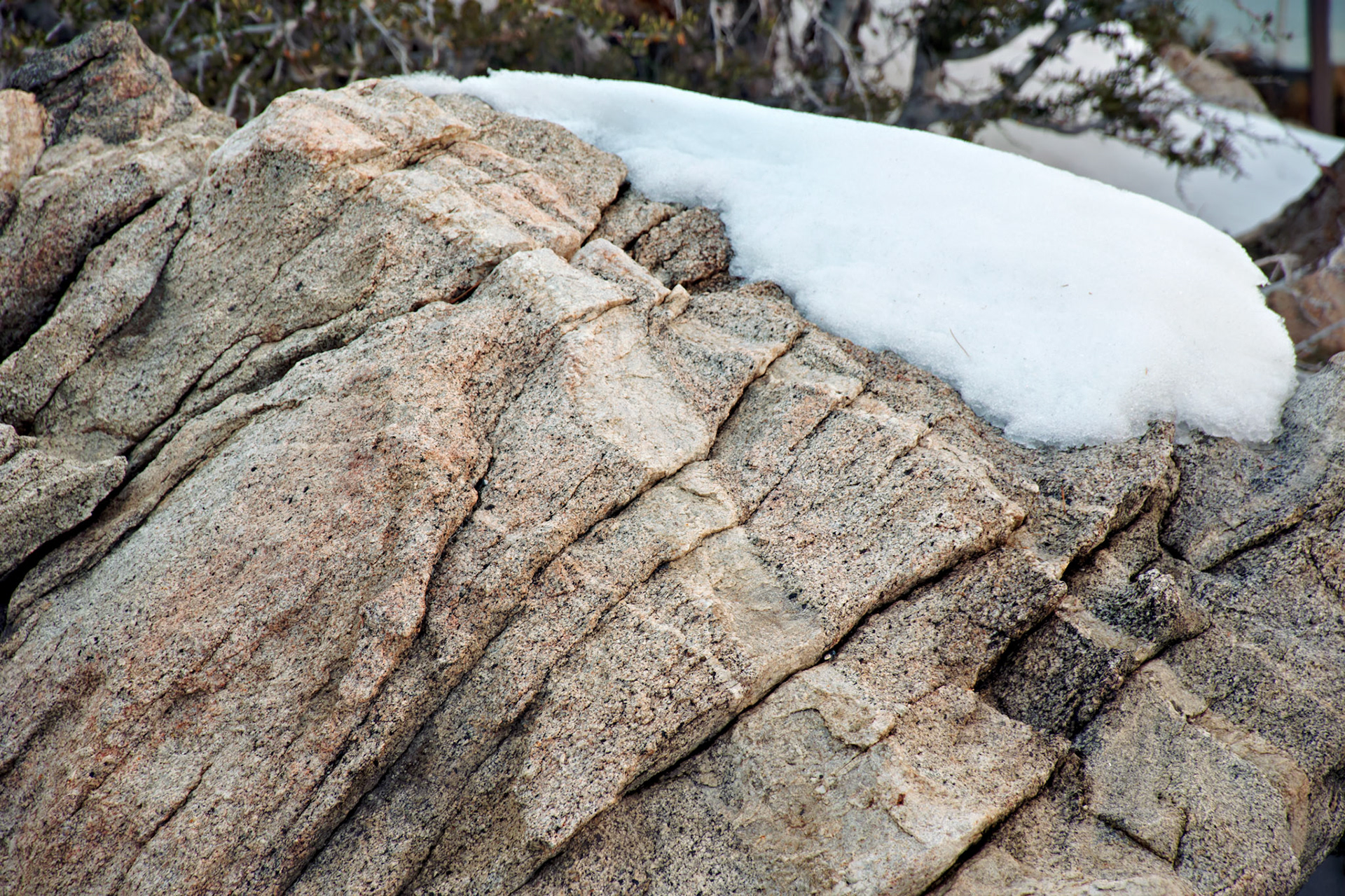 CA_PalmSprings_20111115_0344_PS