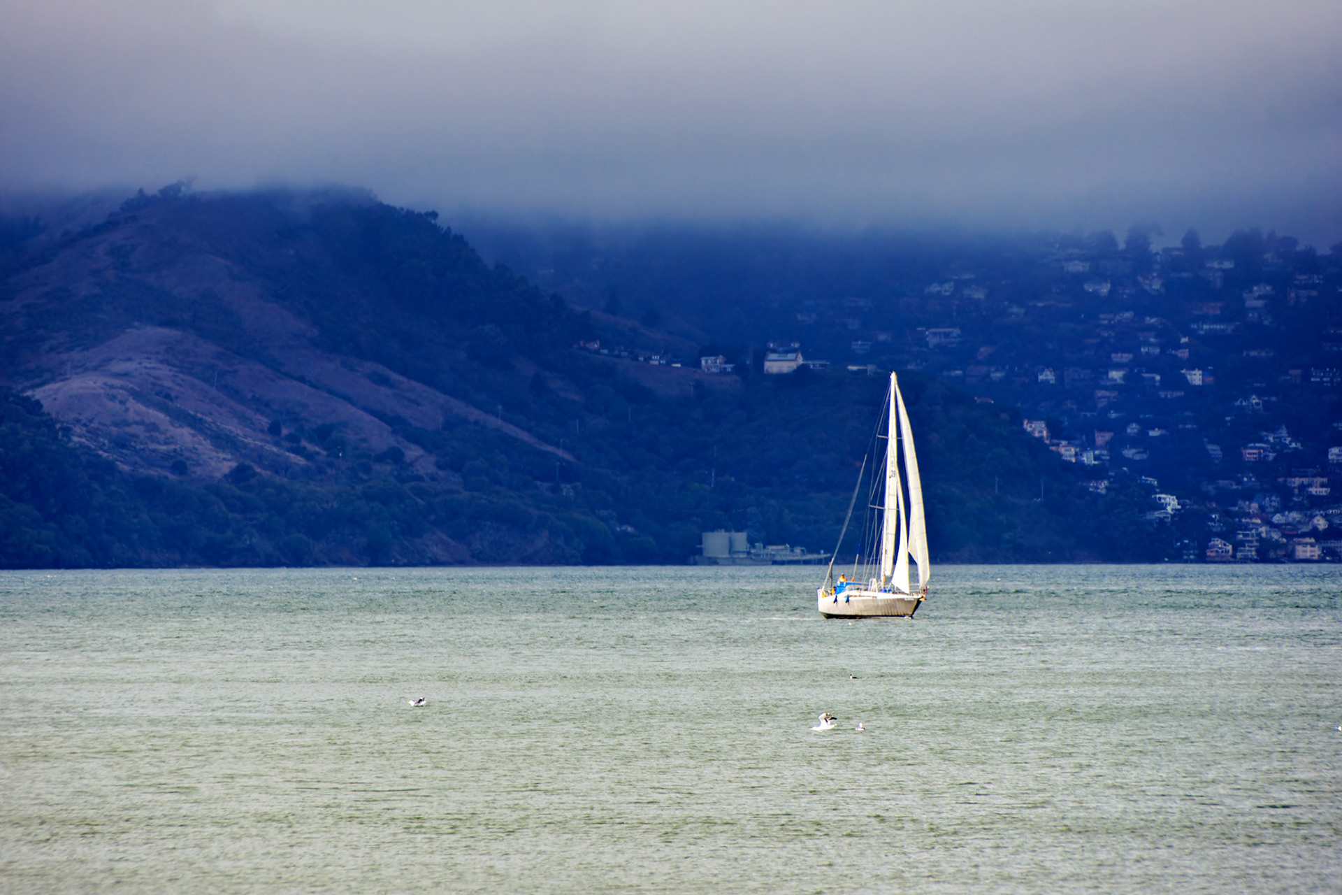 CA_SanFran_20071019_0203_PS
