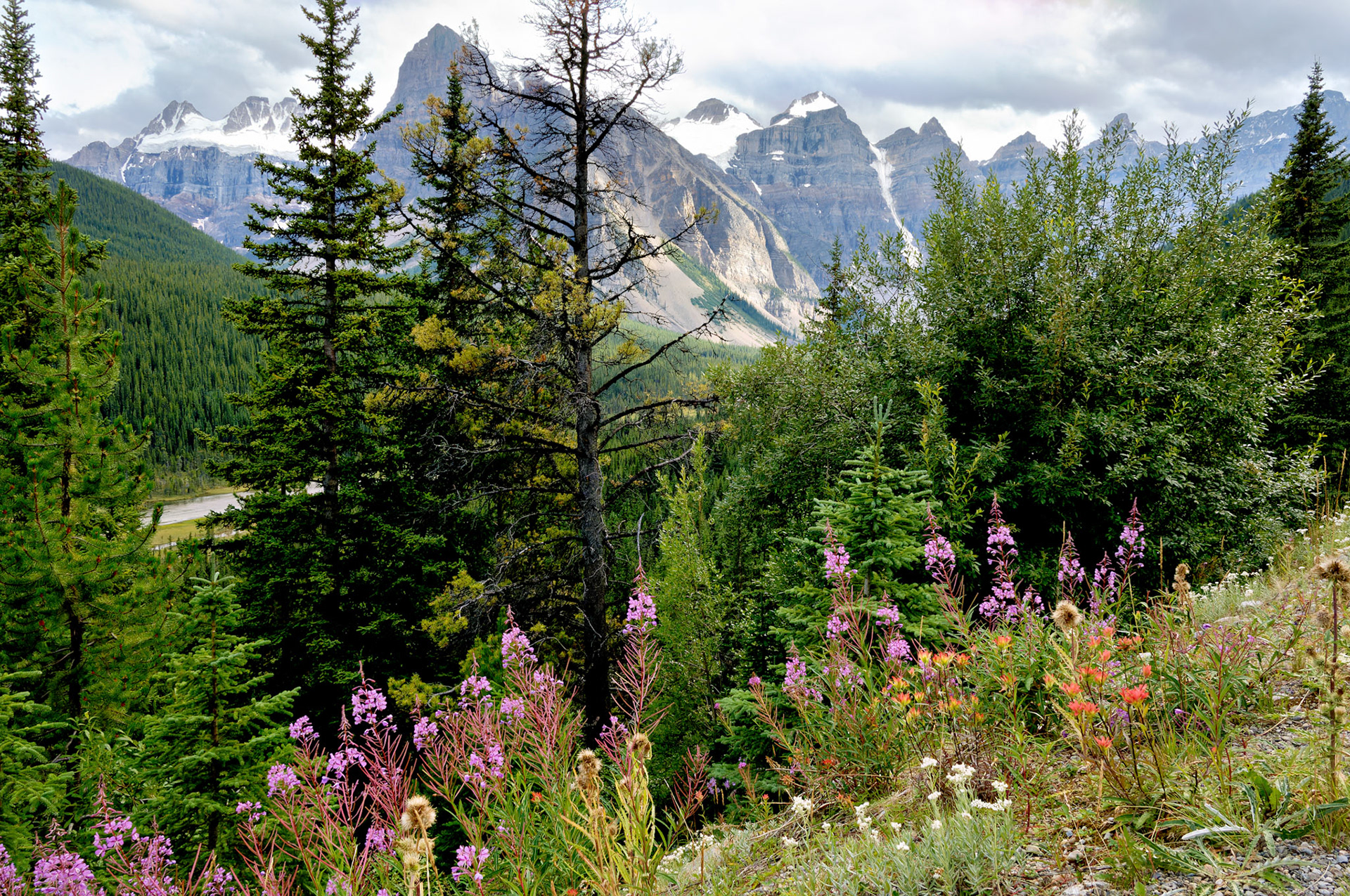 CN_20060801_0520_PS
