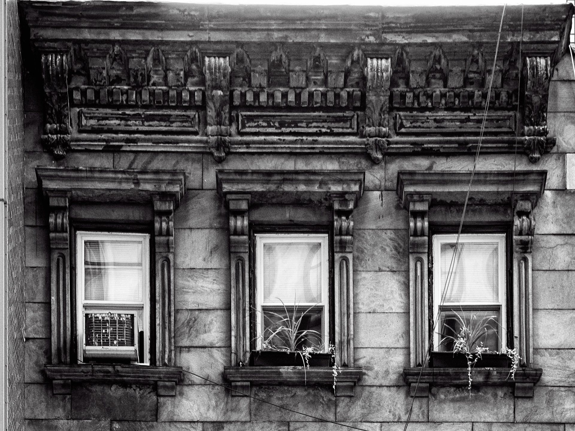 Black &amp; White 00154