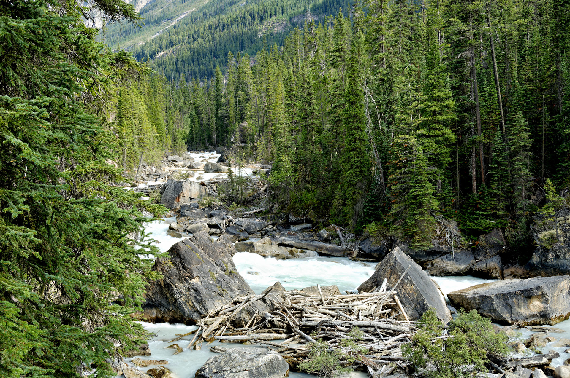CN_20060803_0581_PS