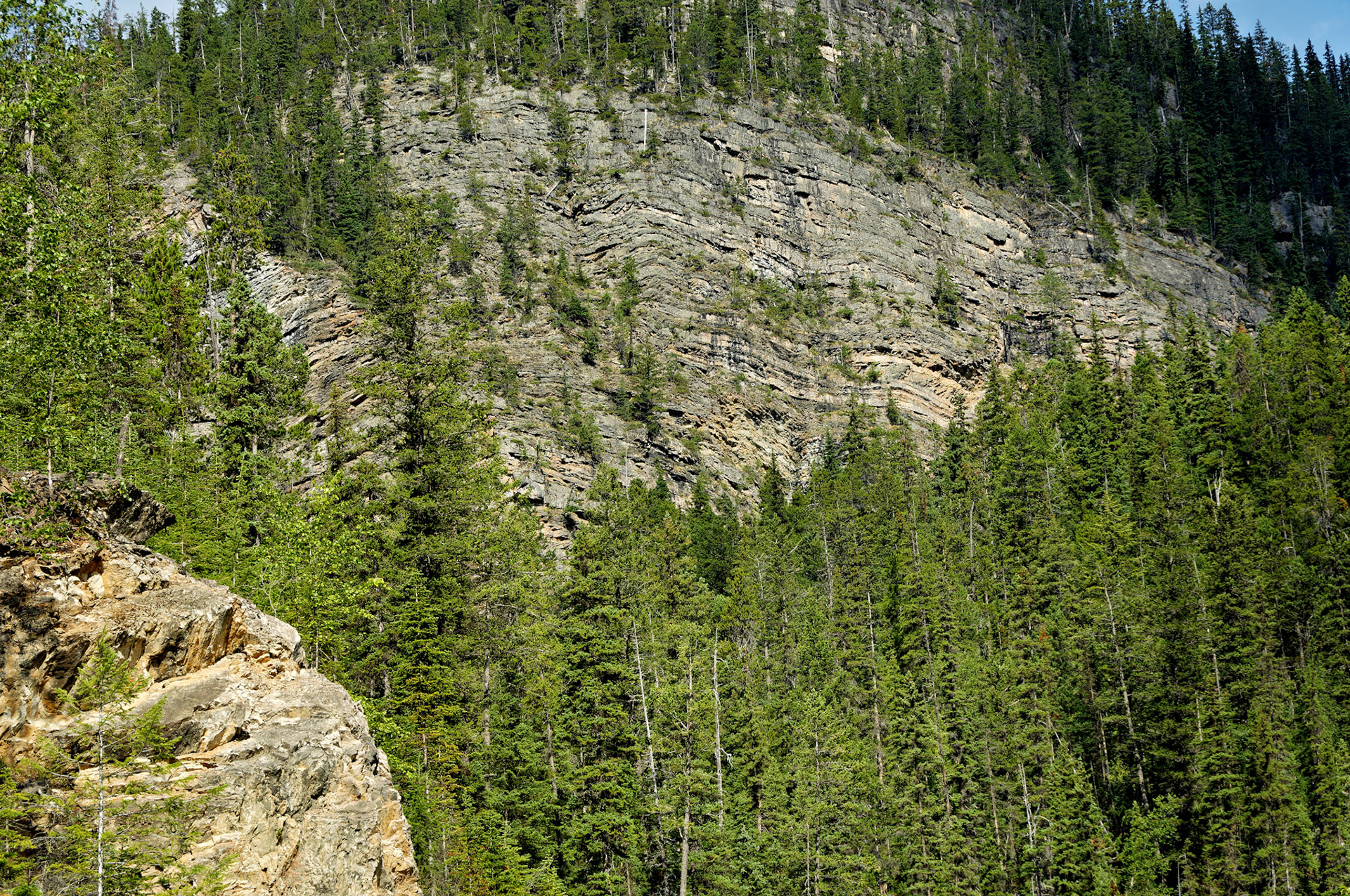CN_20060803_0316_PS
