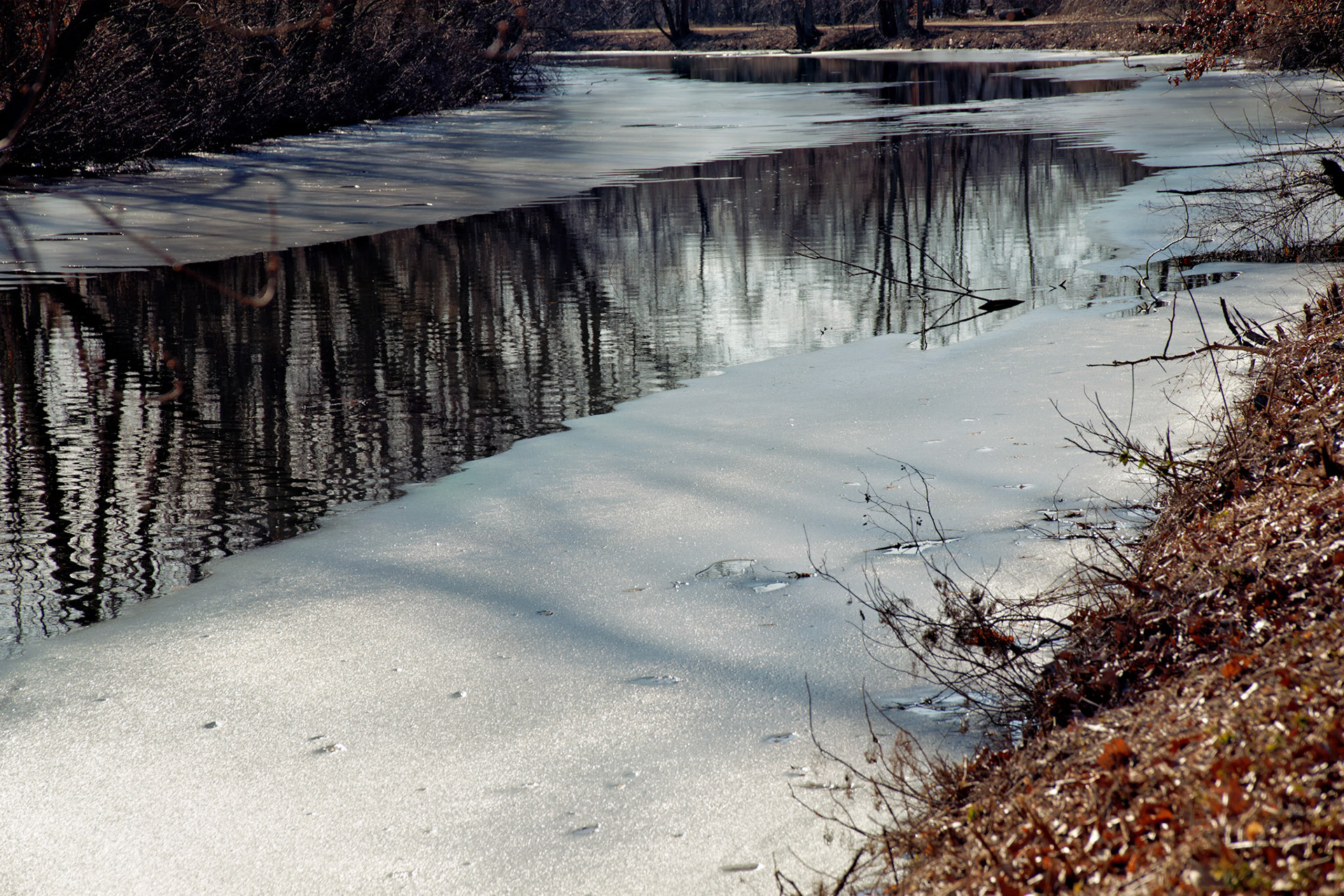 NJ_20090209_0459_PS