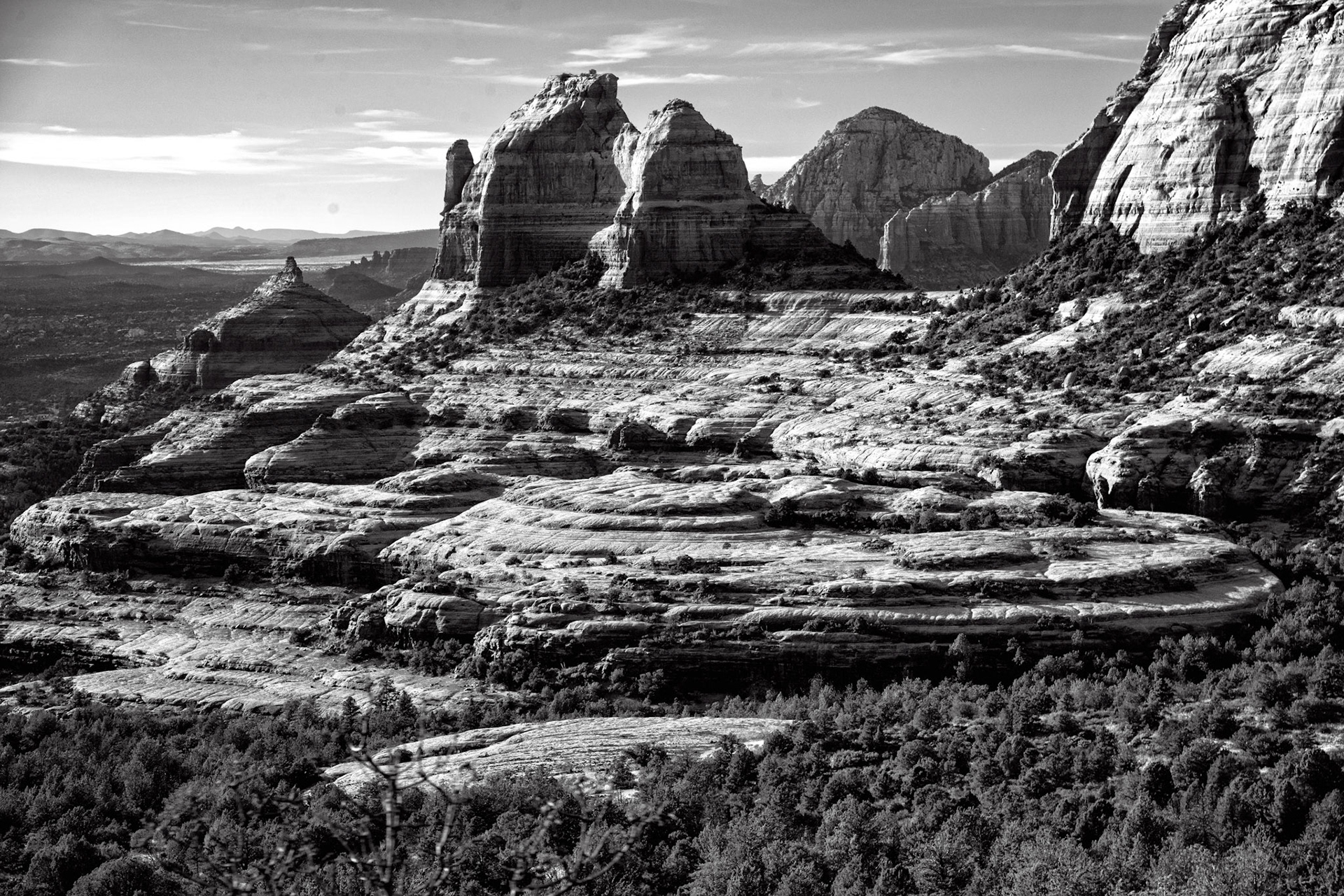 Black &amp; White 00178