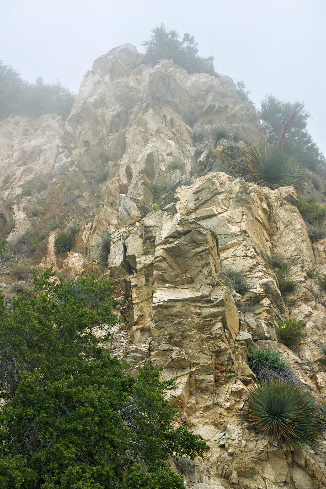 CA_LA_20030514_0022_PS