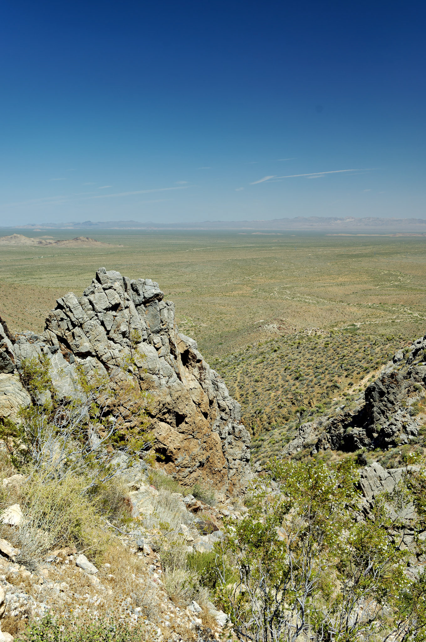 CA_20050614_0135_PS