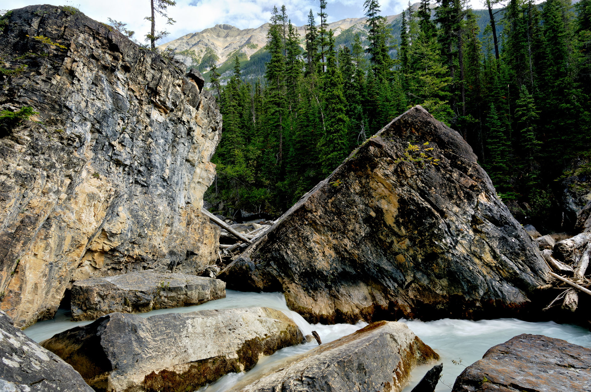 CN_20060803_0308_PS