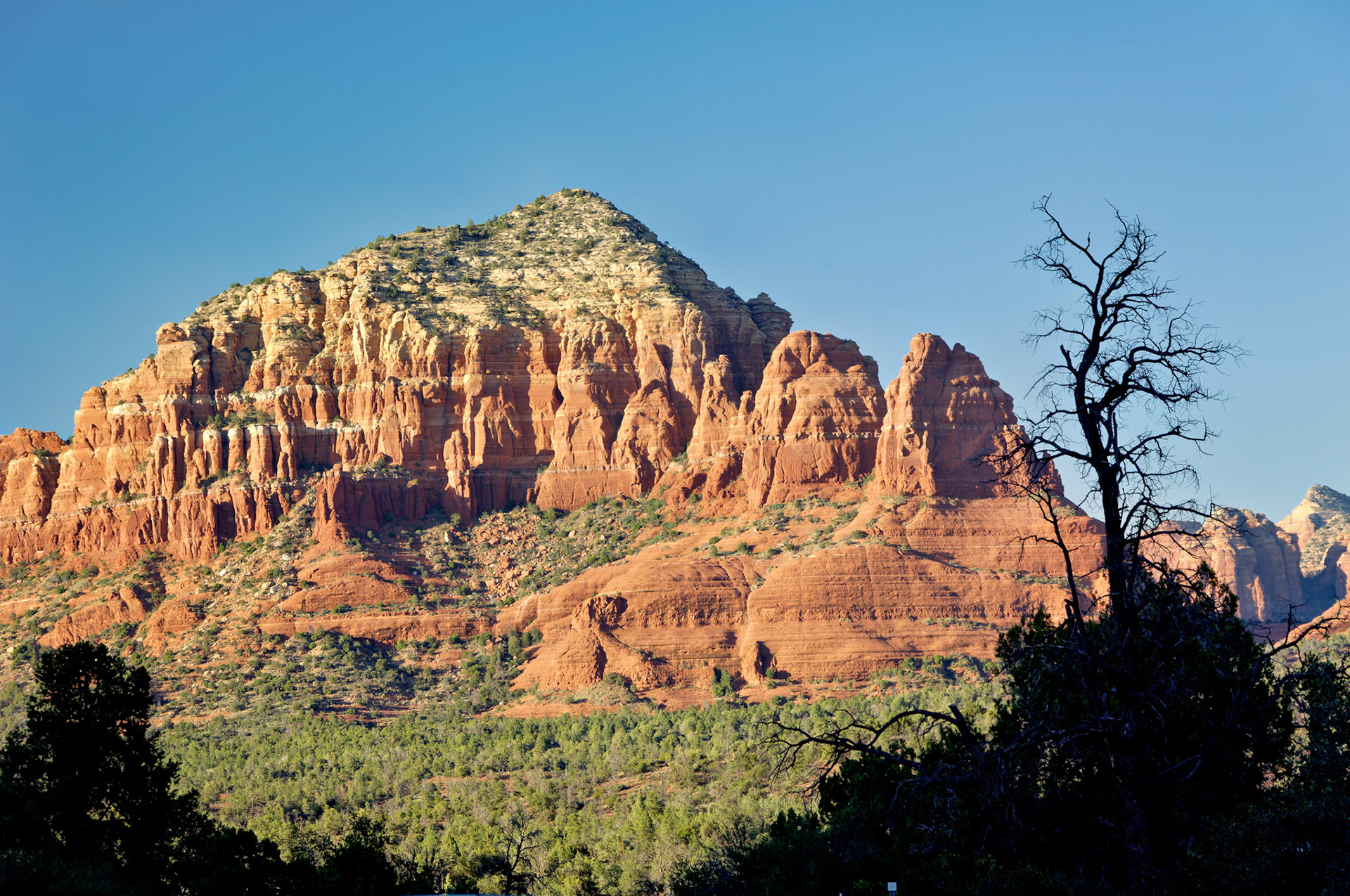 AZ_20060917_0138_PS.dng