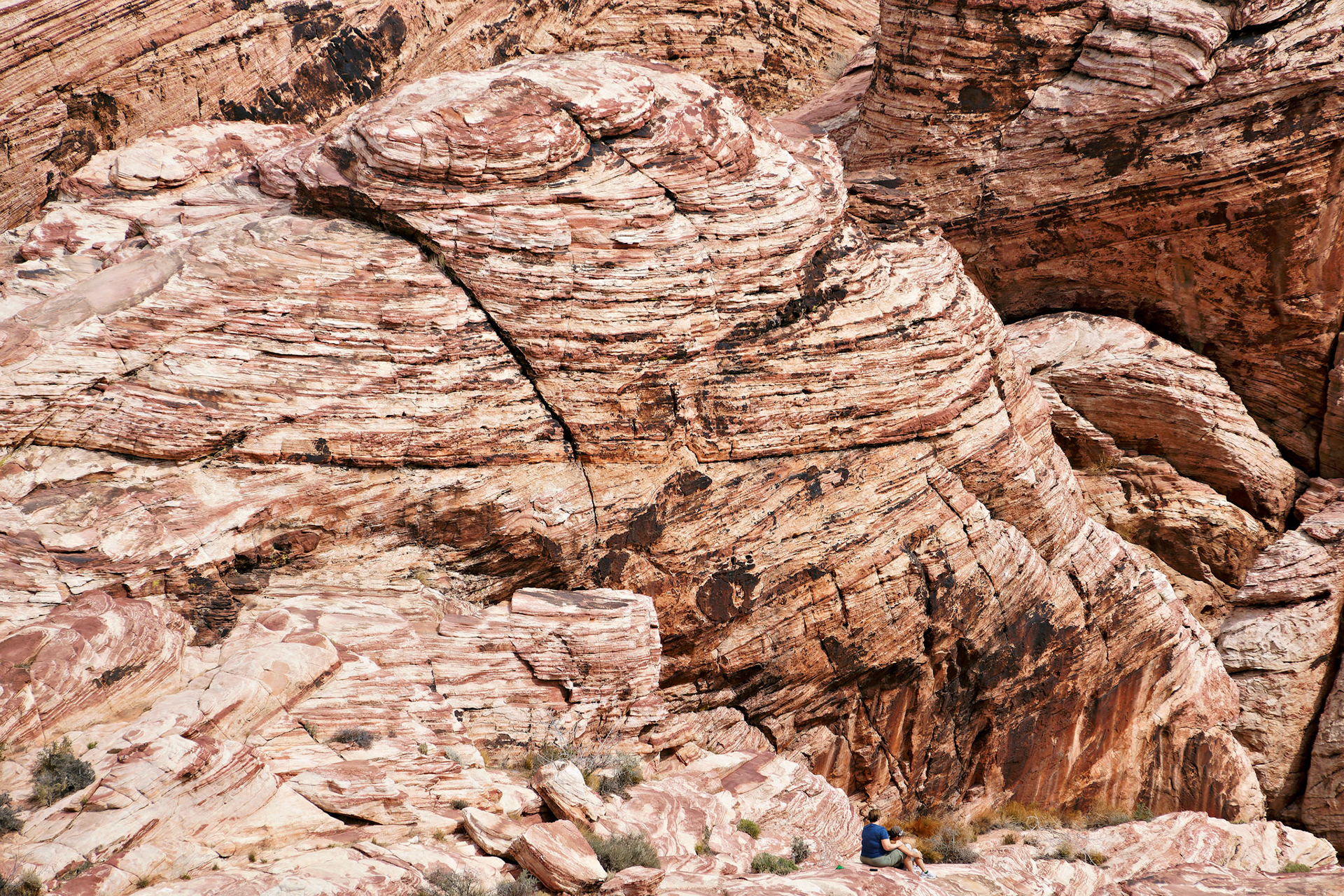NV_Deserts_20120312_0044_PS.tif