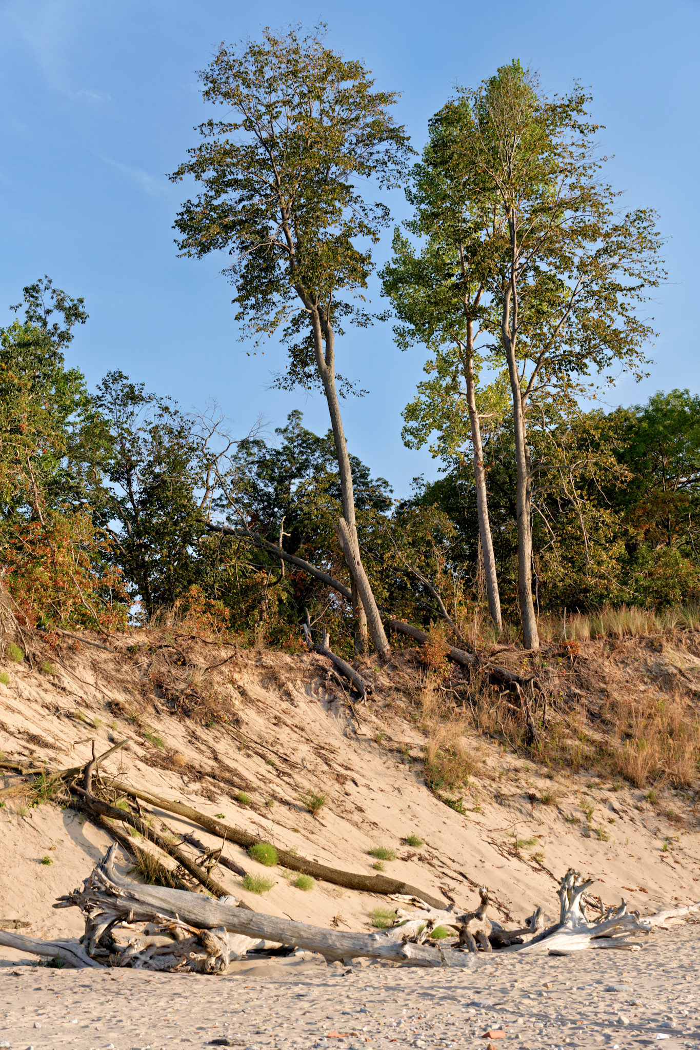 MI_Dunes__FXT1434