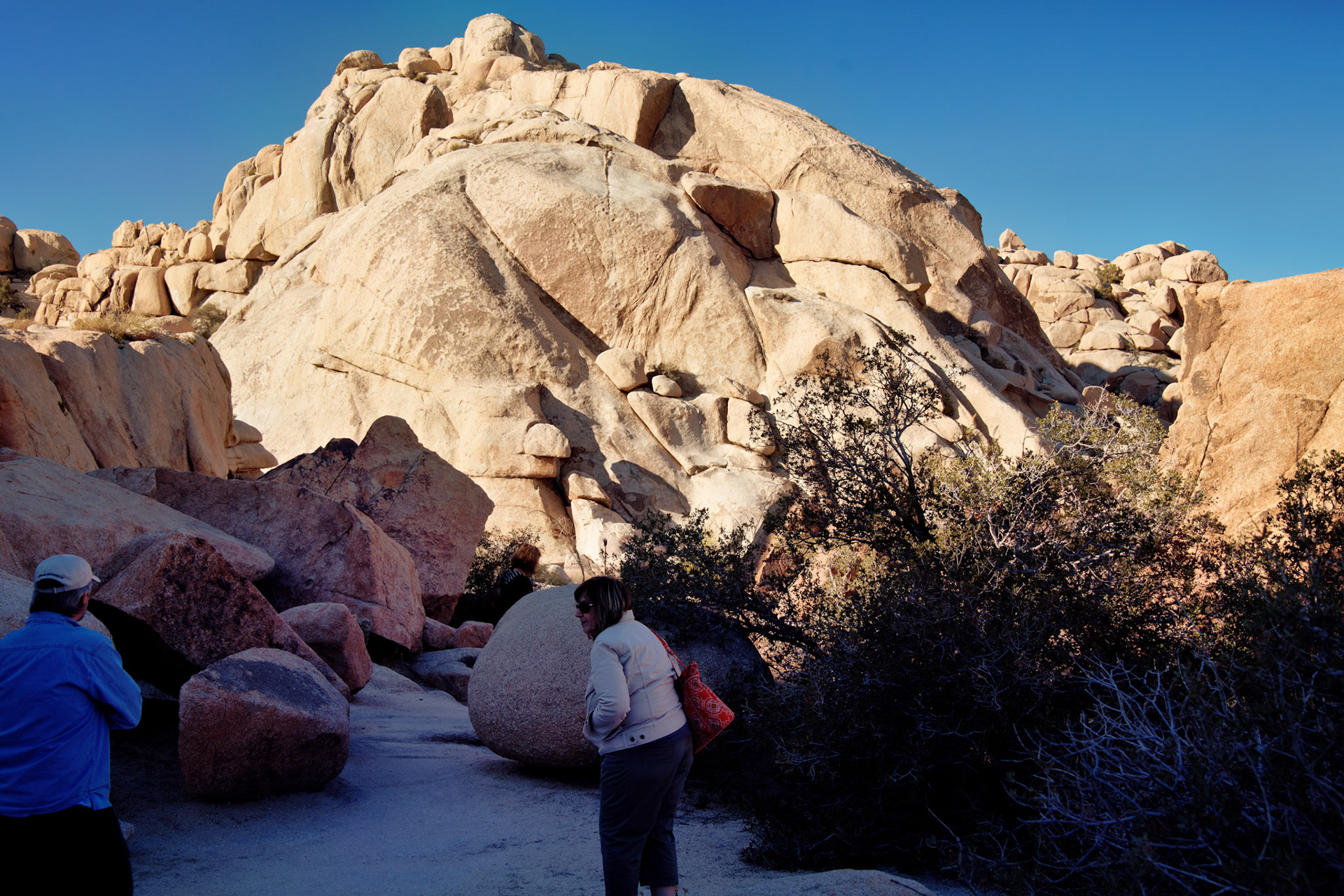 CA_JoshuaTree_20111114_0204_PS