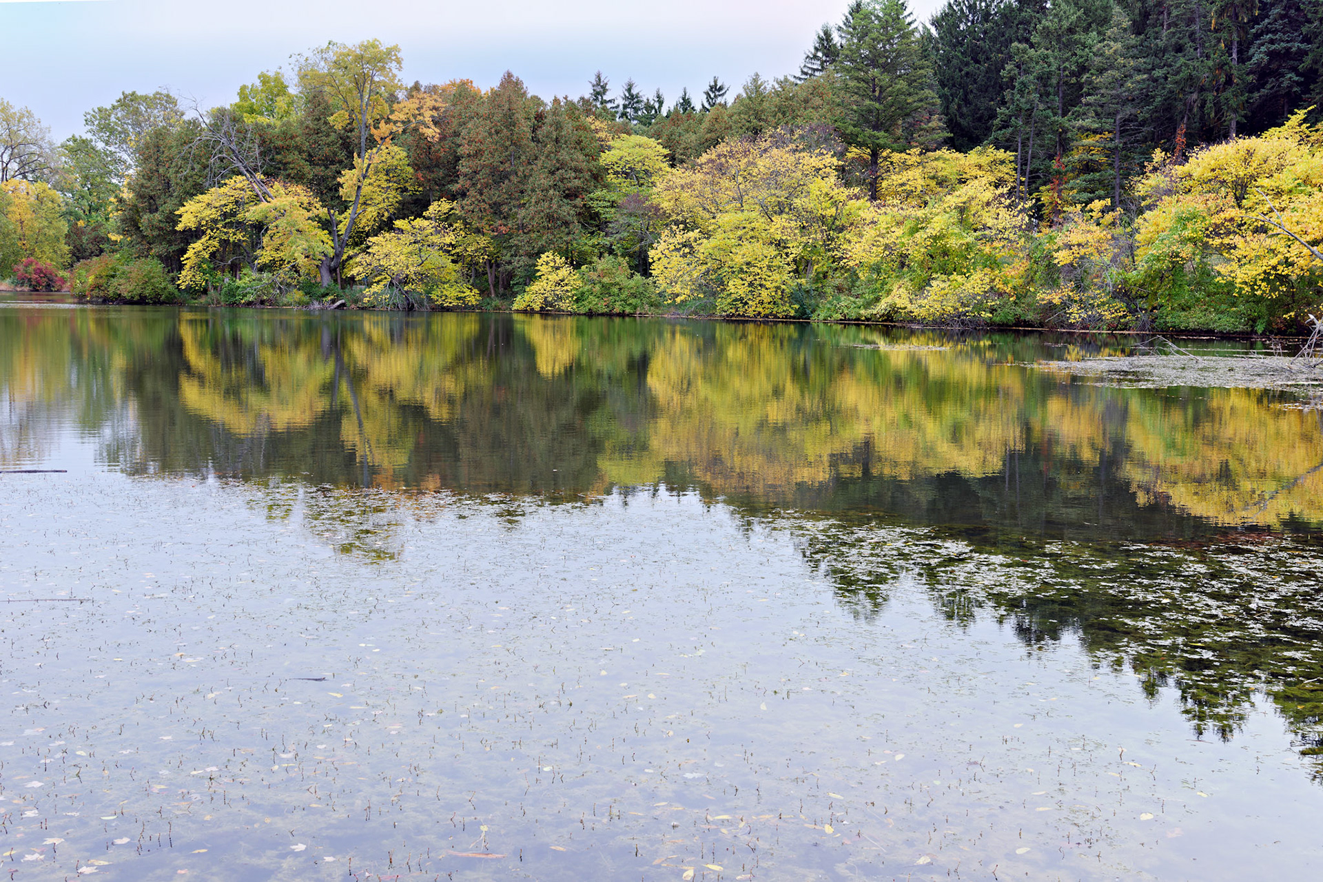IL_Morton Arboretum_20121005_0556_PS