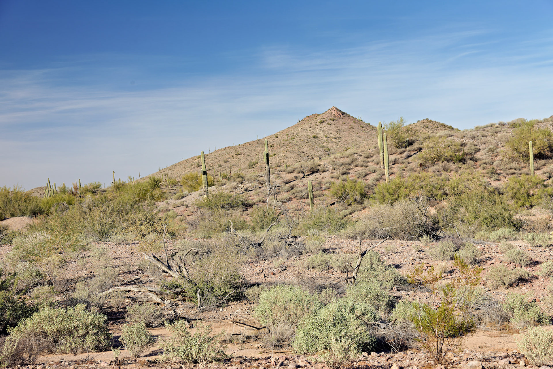 AZ_20121209_0340_PS.dng