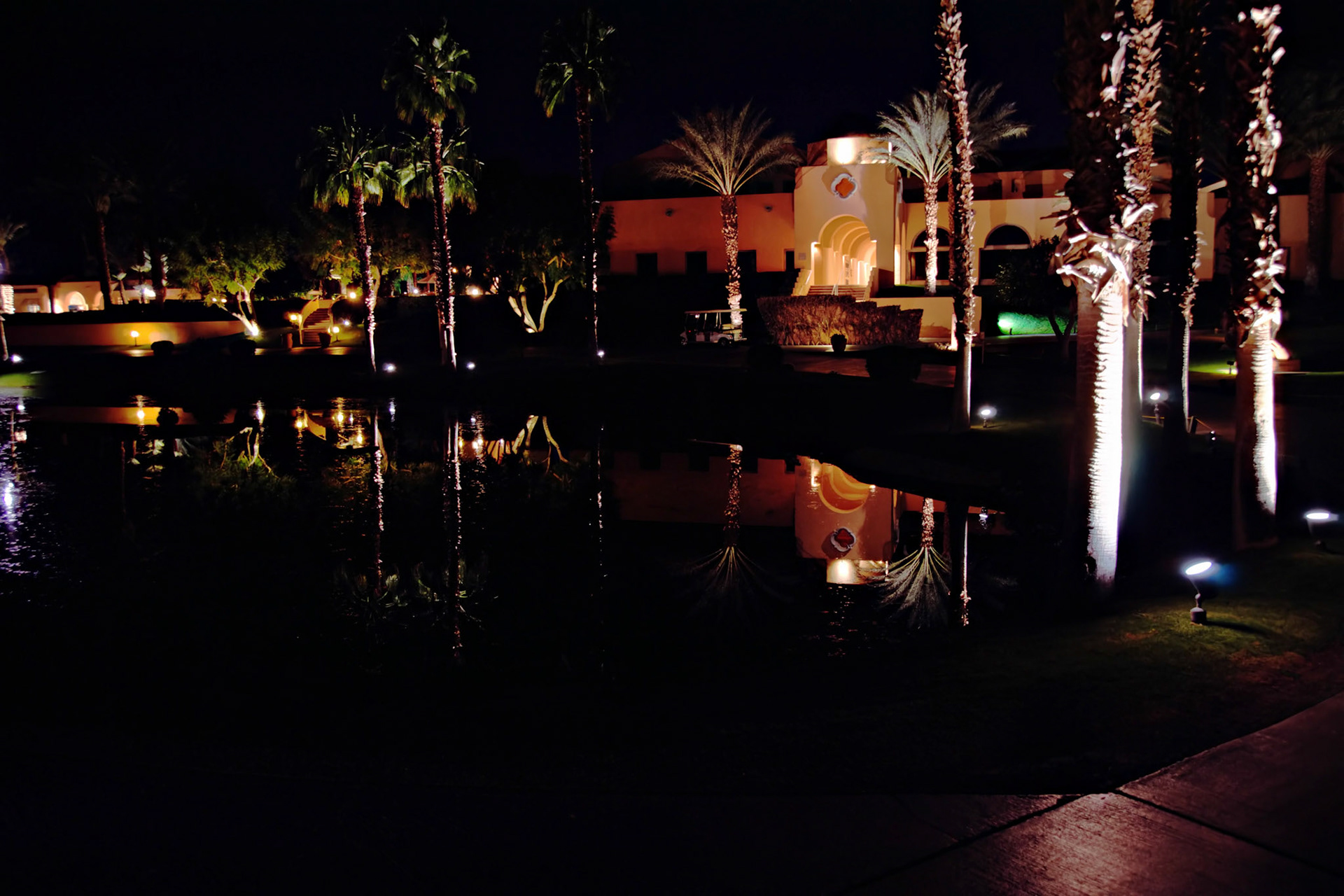 SONY DSC