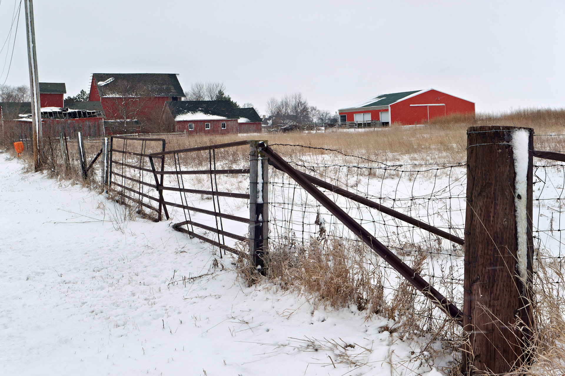 IL_20150323_0606_PS.tif