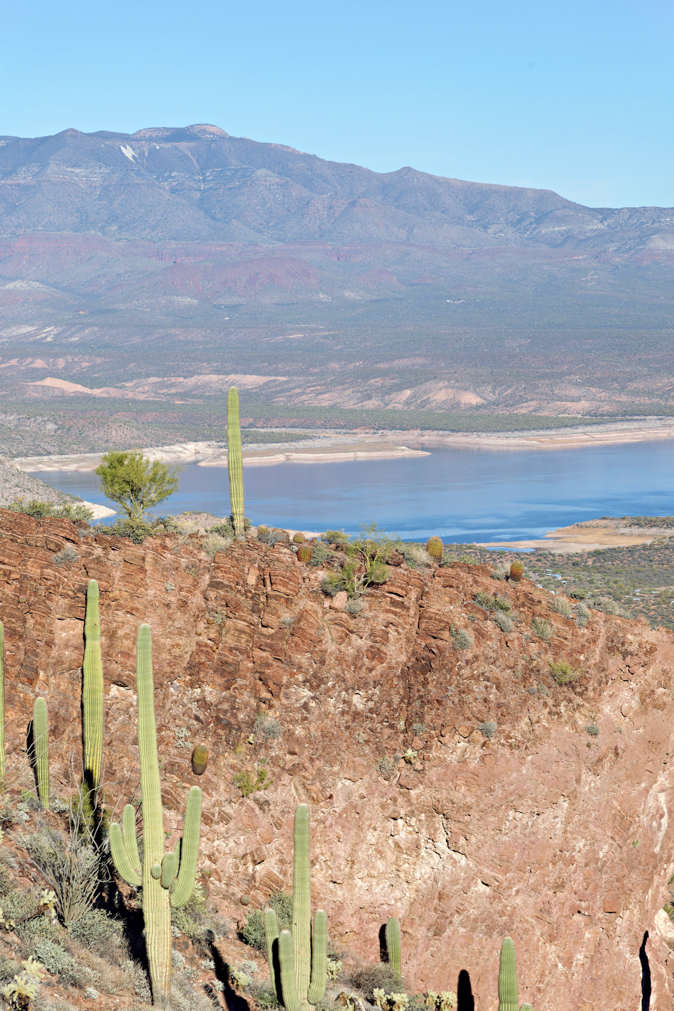 AZ_20121210_0443_PS