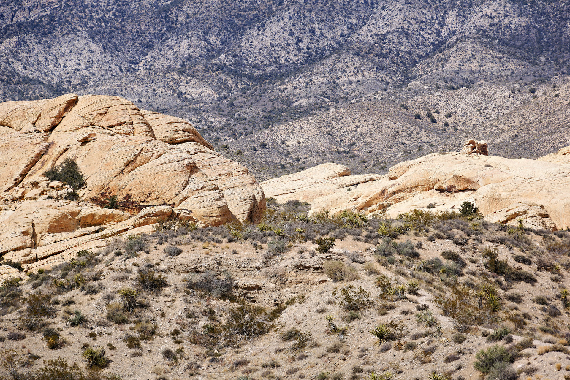 NV_Deserts_20120312_0064_PS.tif