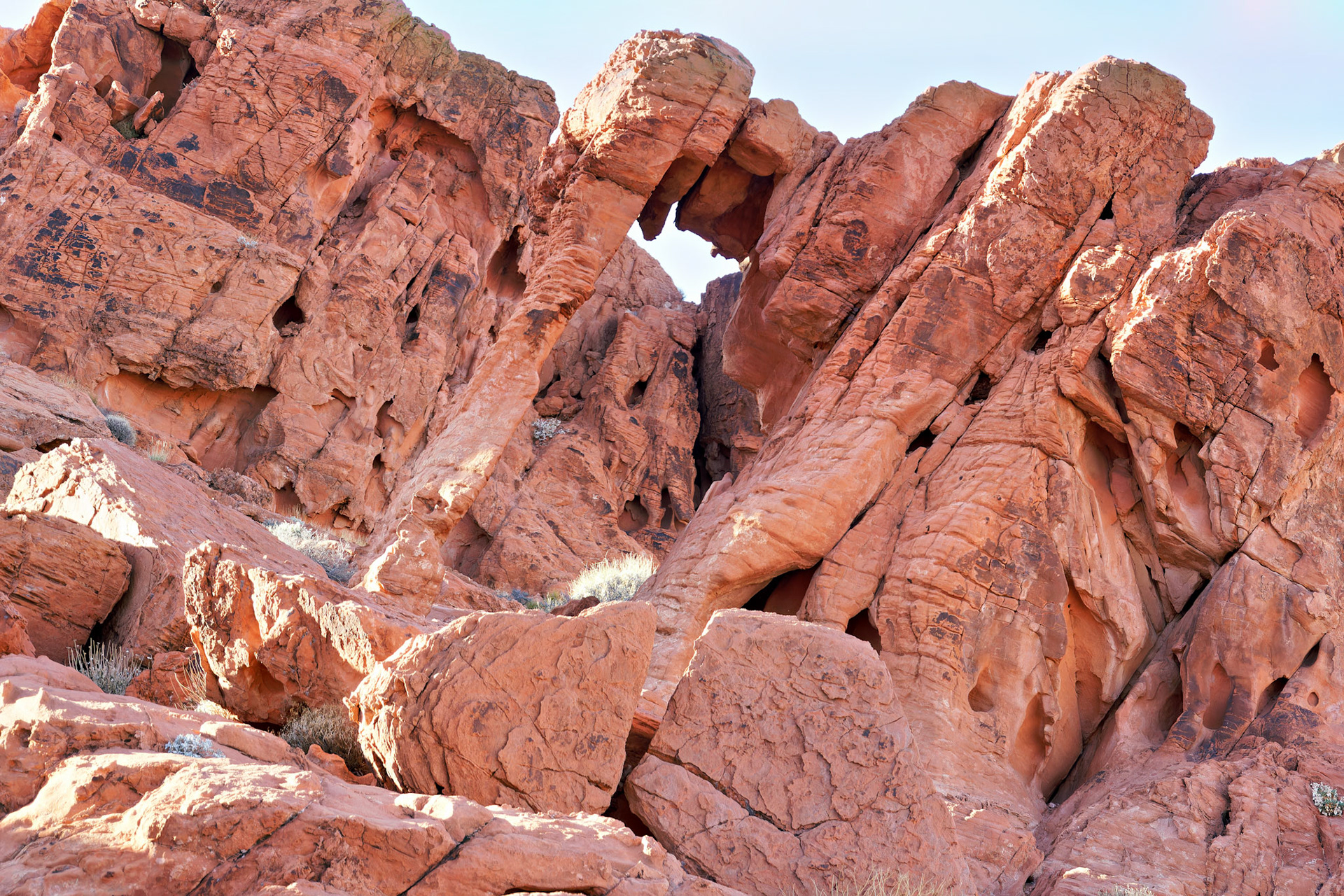 NV_Deserts_20120313_0252_PS