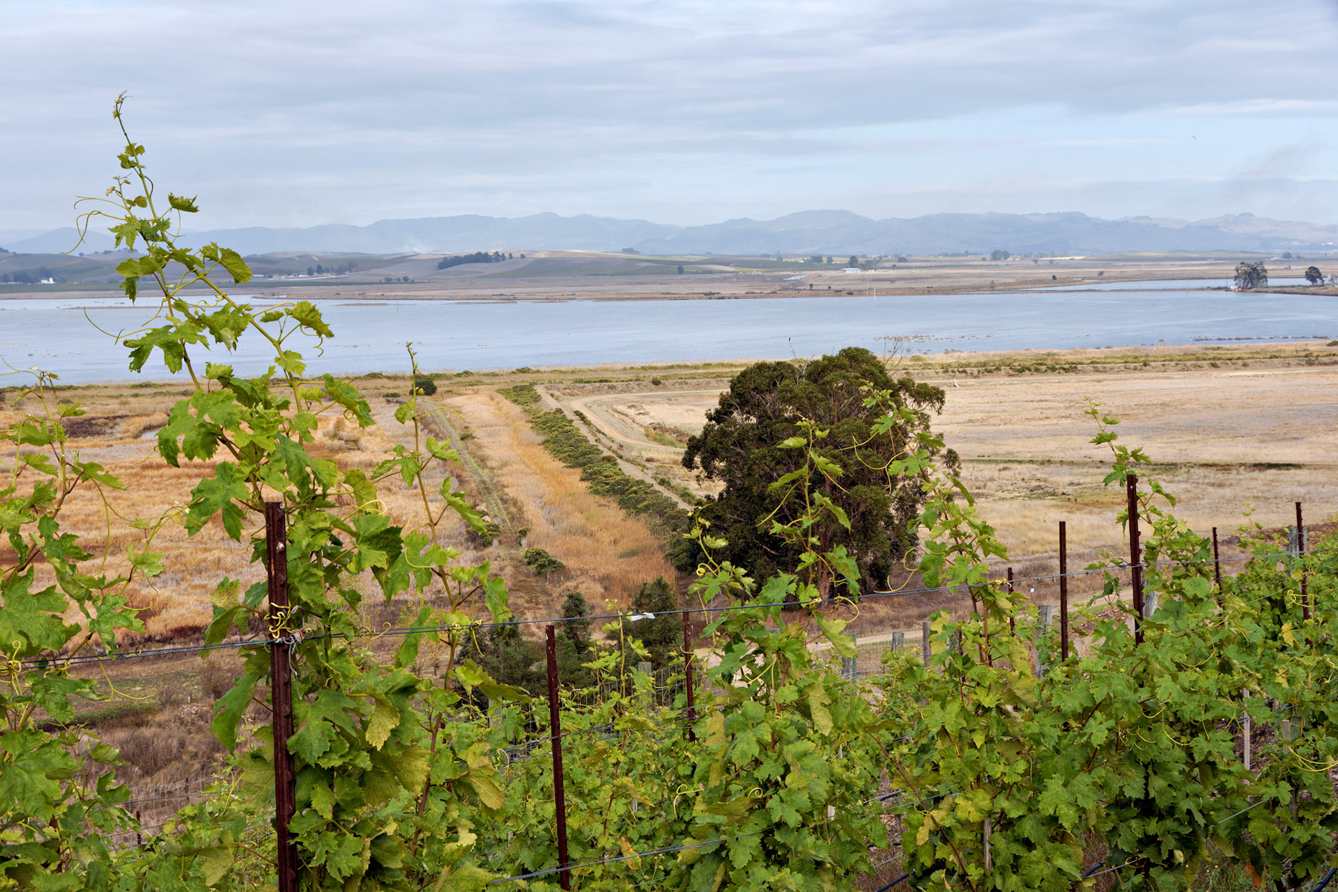 CA_SanFran_20071018_0125_PS