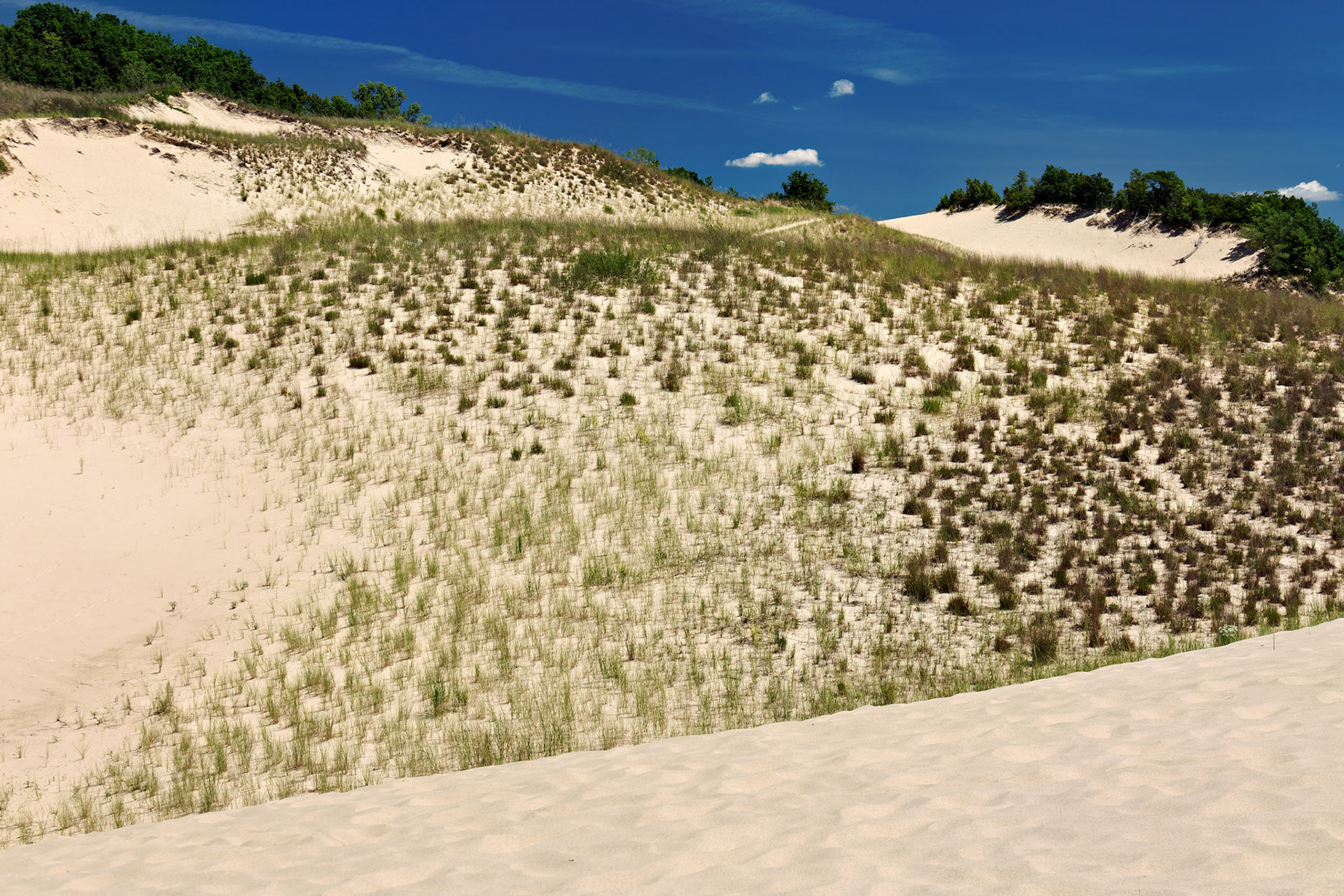 MI_New BuffaloArea_20160808_0151_PS