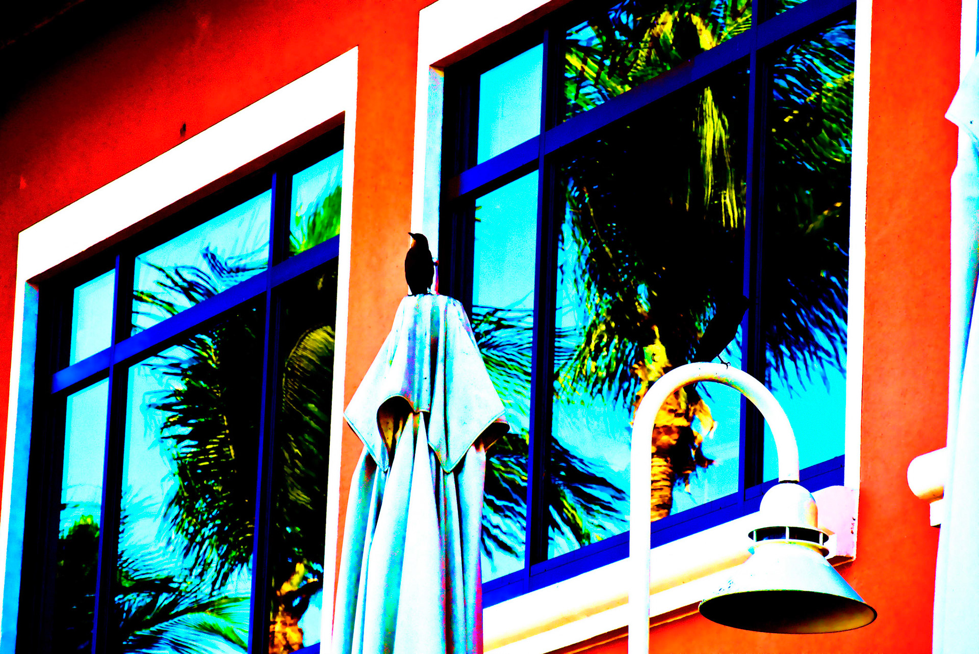 Painting_NikonV1a0398UP