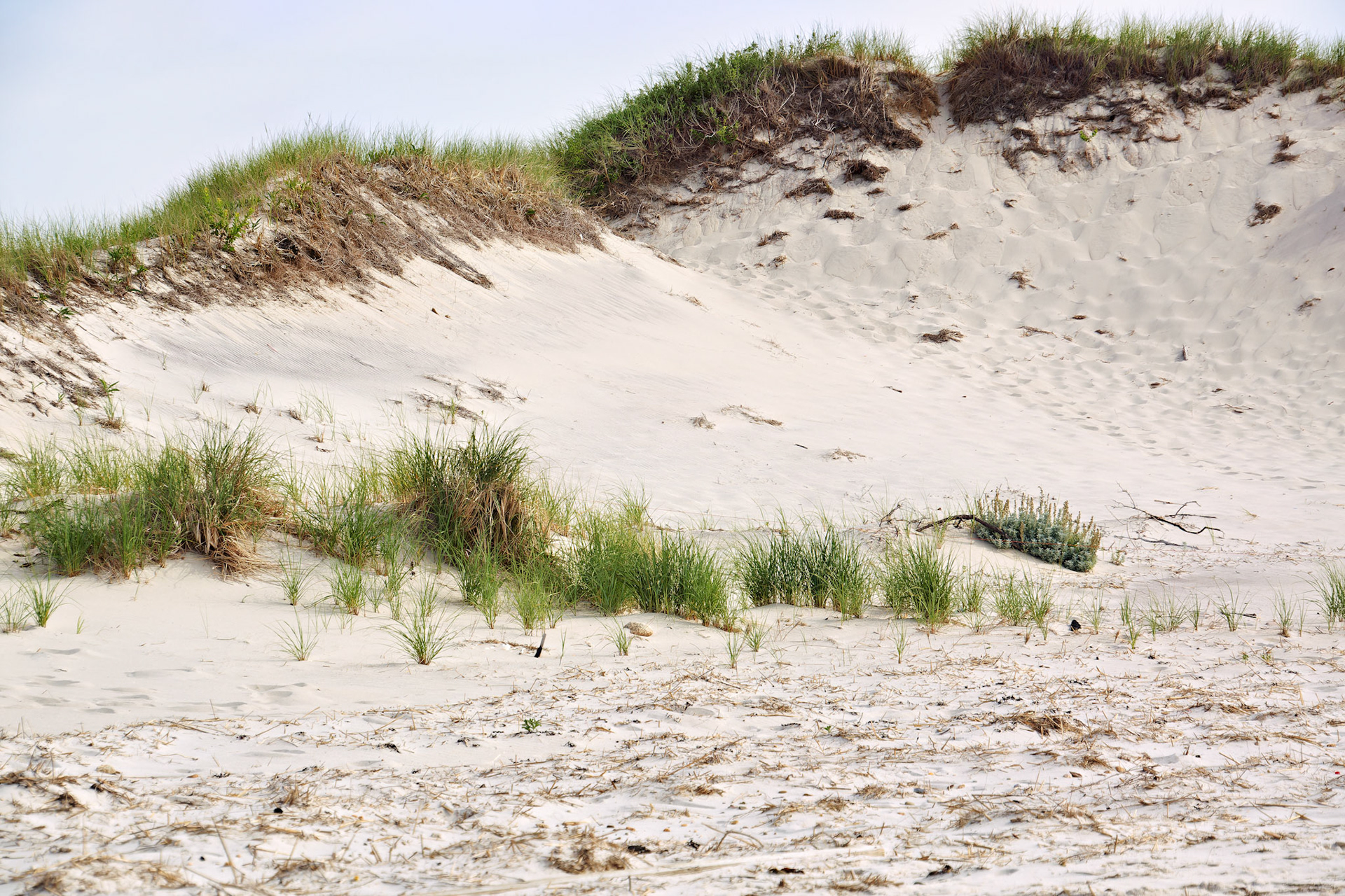 MA_CapeCod_20150717_0217_PS