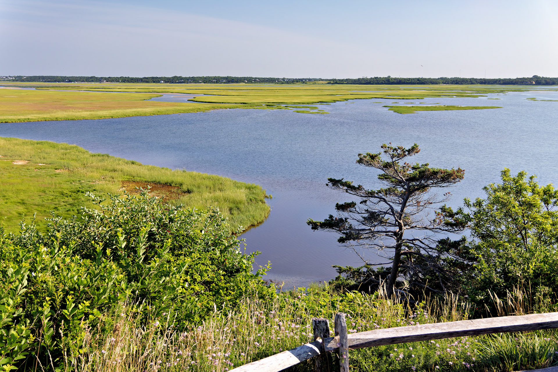 MA_CapeCod_20150716_0035_PS
