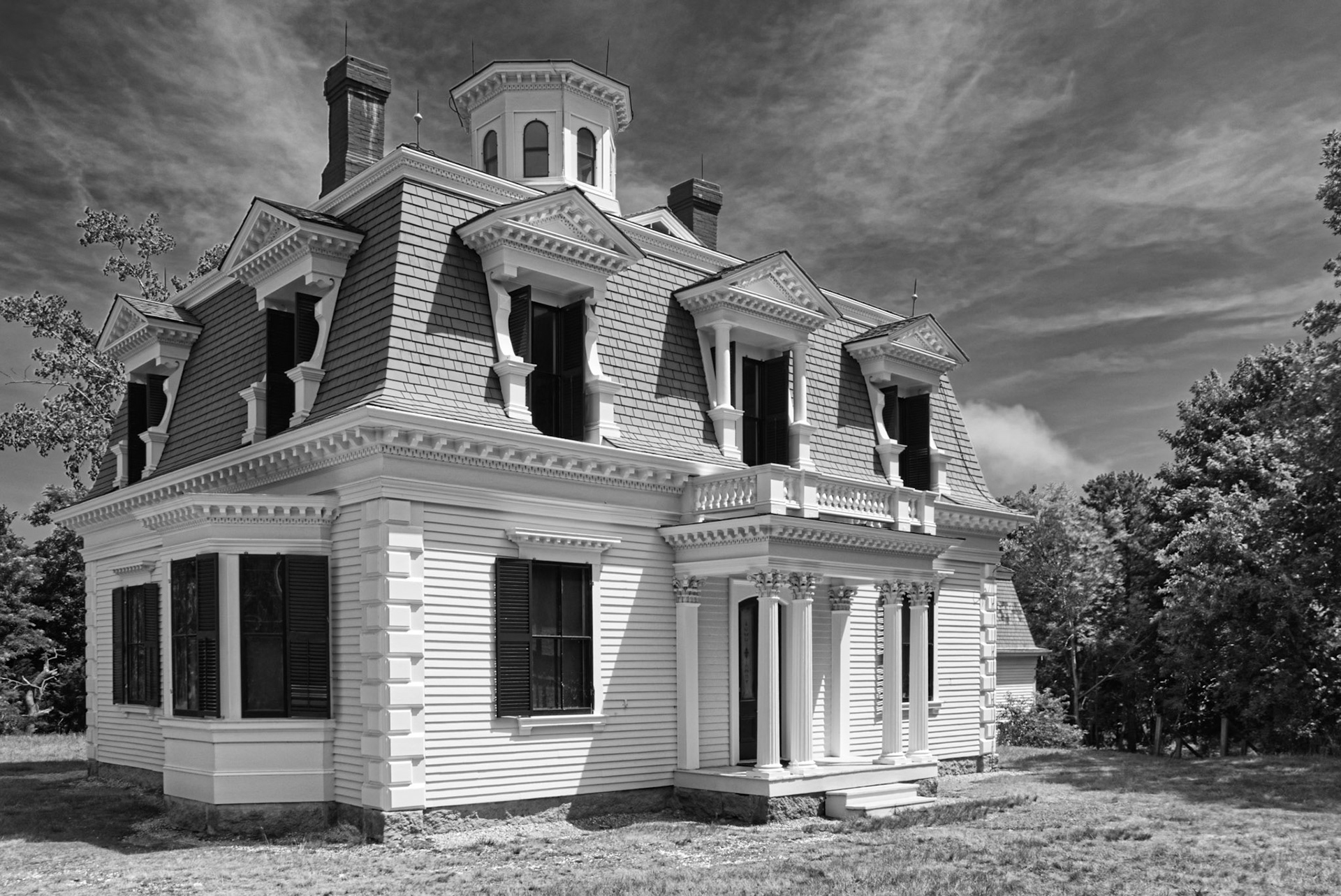 Black &amp; White 00289